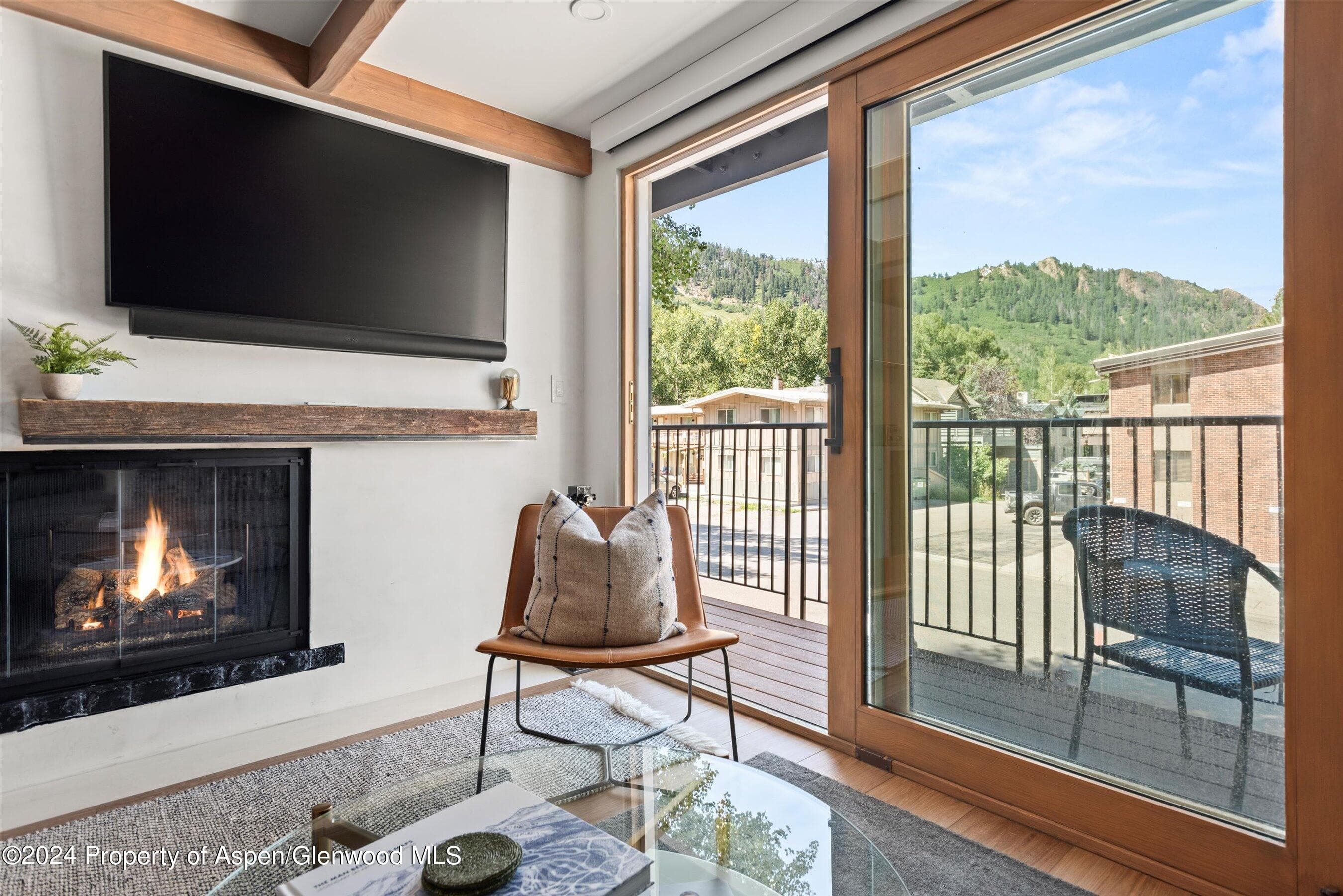 901 E Hyman Avenue 5, Aspen, CO 81611 - Photo 4