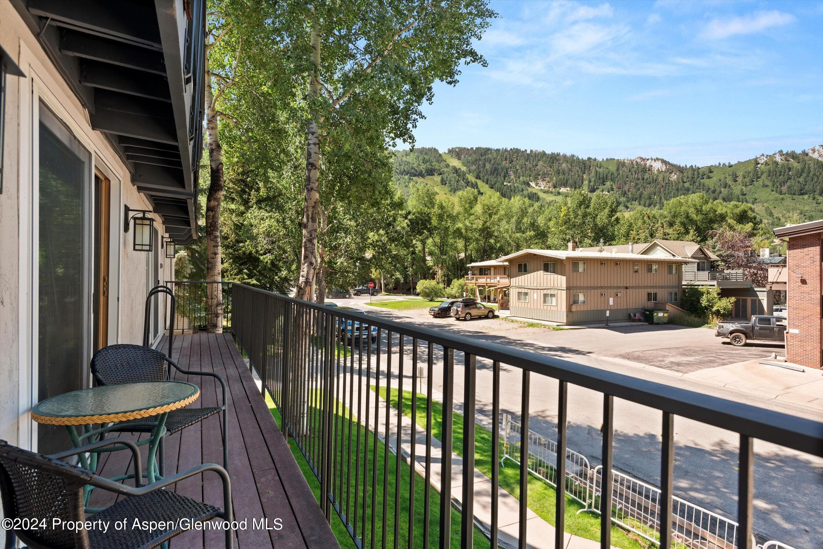 901 E Hyman Avenue 5, Aspen, CO 81611 - Photo 15