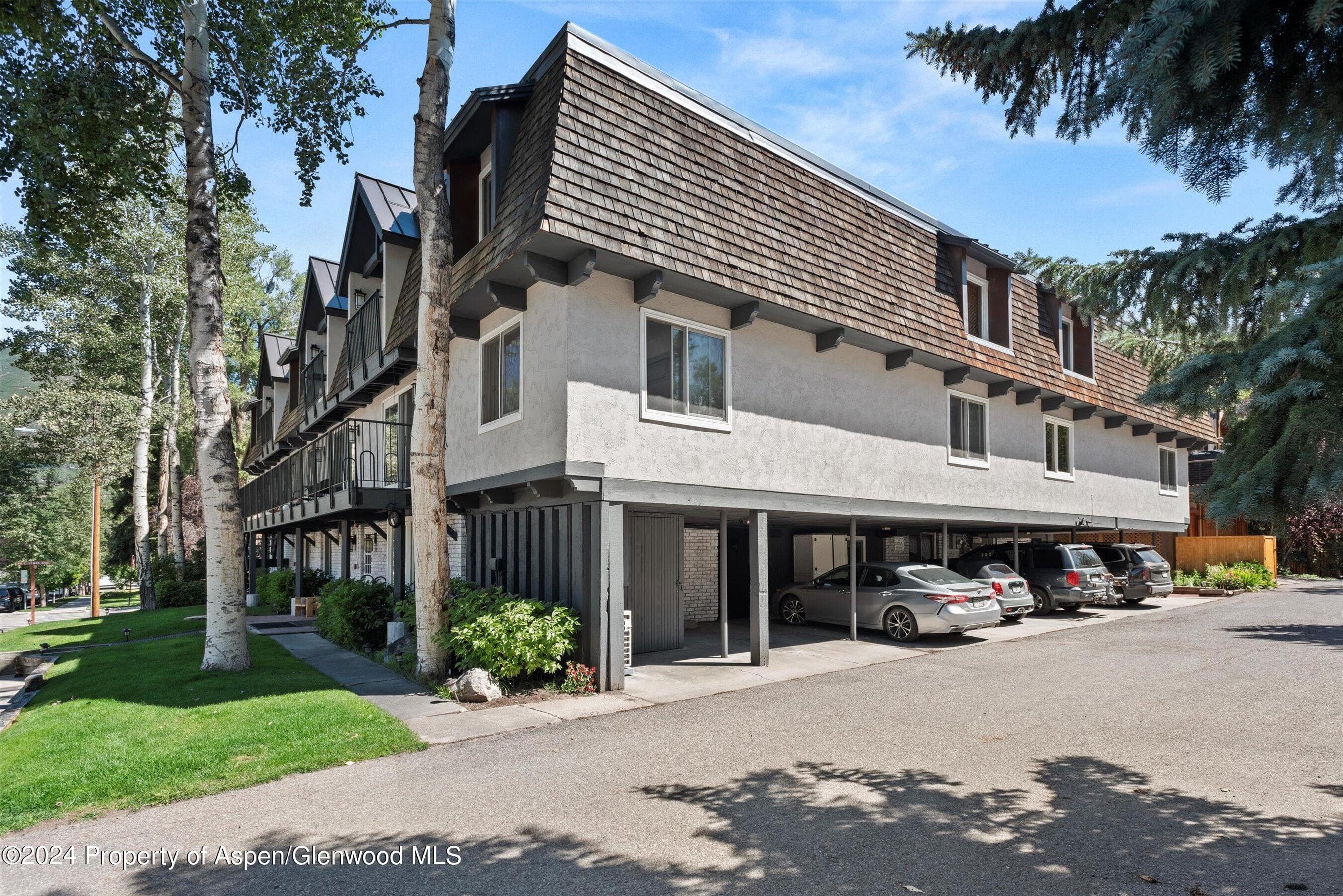 901 E Hyman Avenue 5, Aspen, CO 81611 - Photo 17