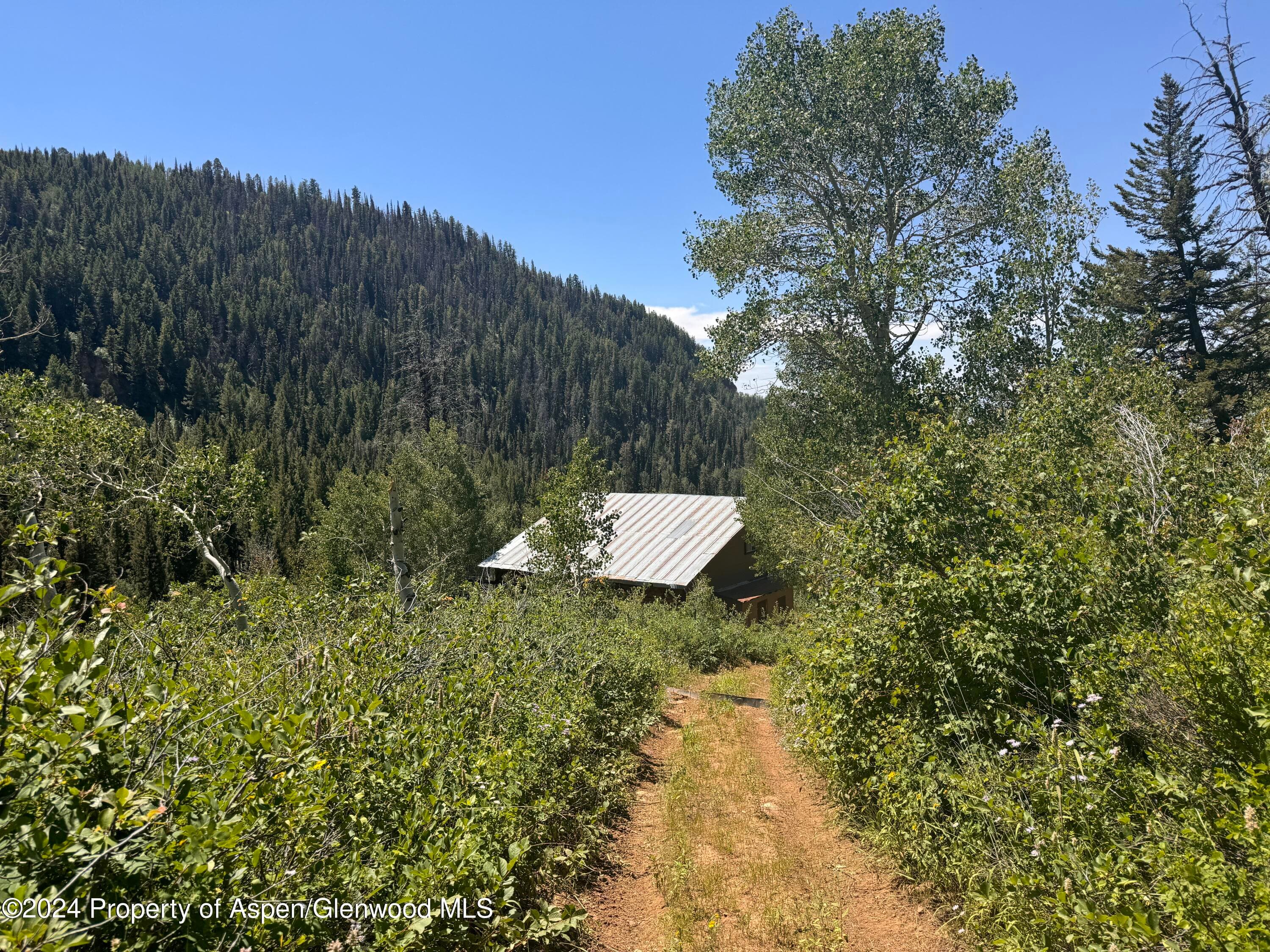 N/A F S 602 Road, Glenwood Springs, CO 81601 - Photo 6
