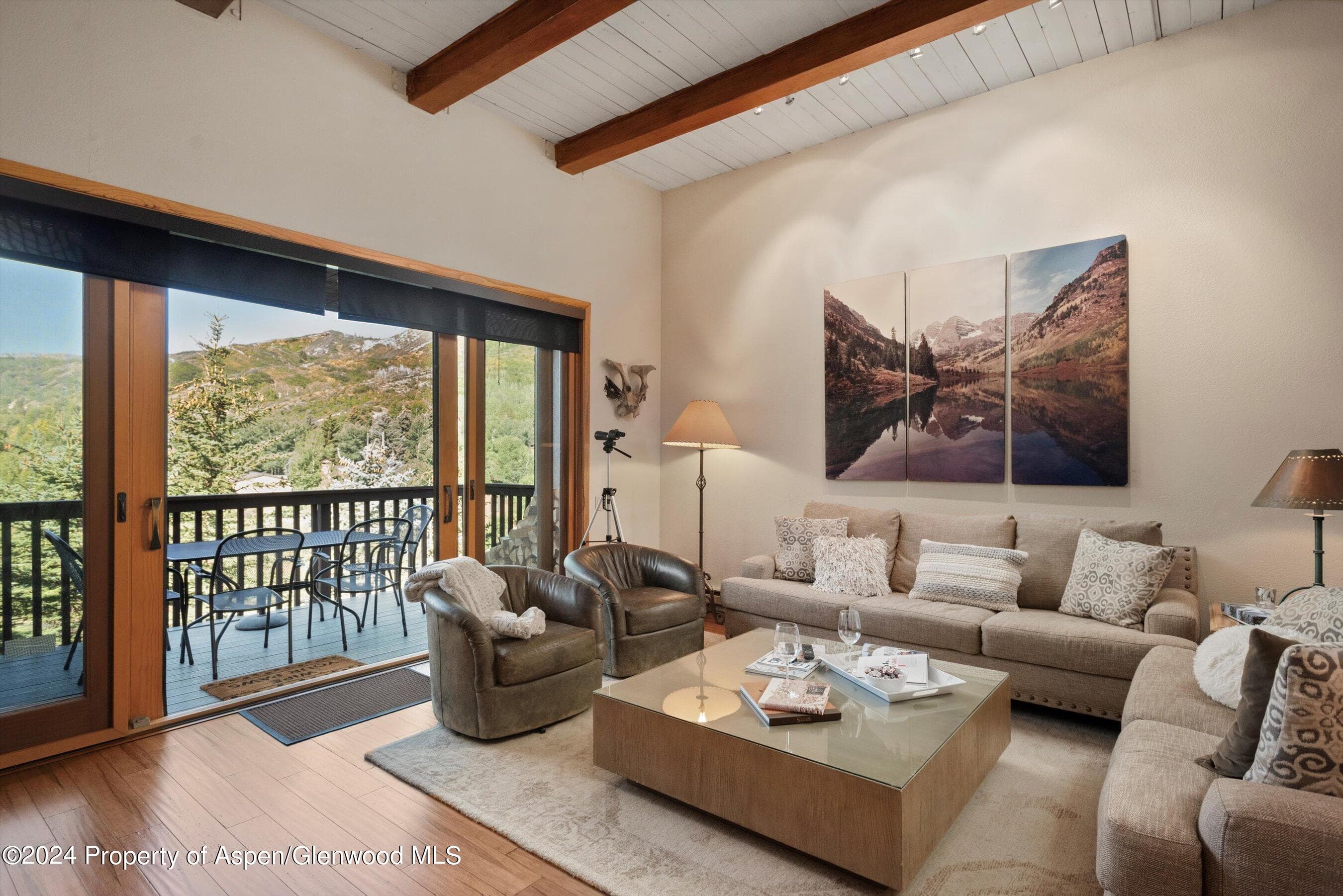 229 Faraway Road #34, Snowmass Village, CO 81615 - Photo 3