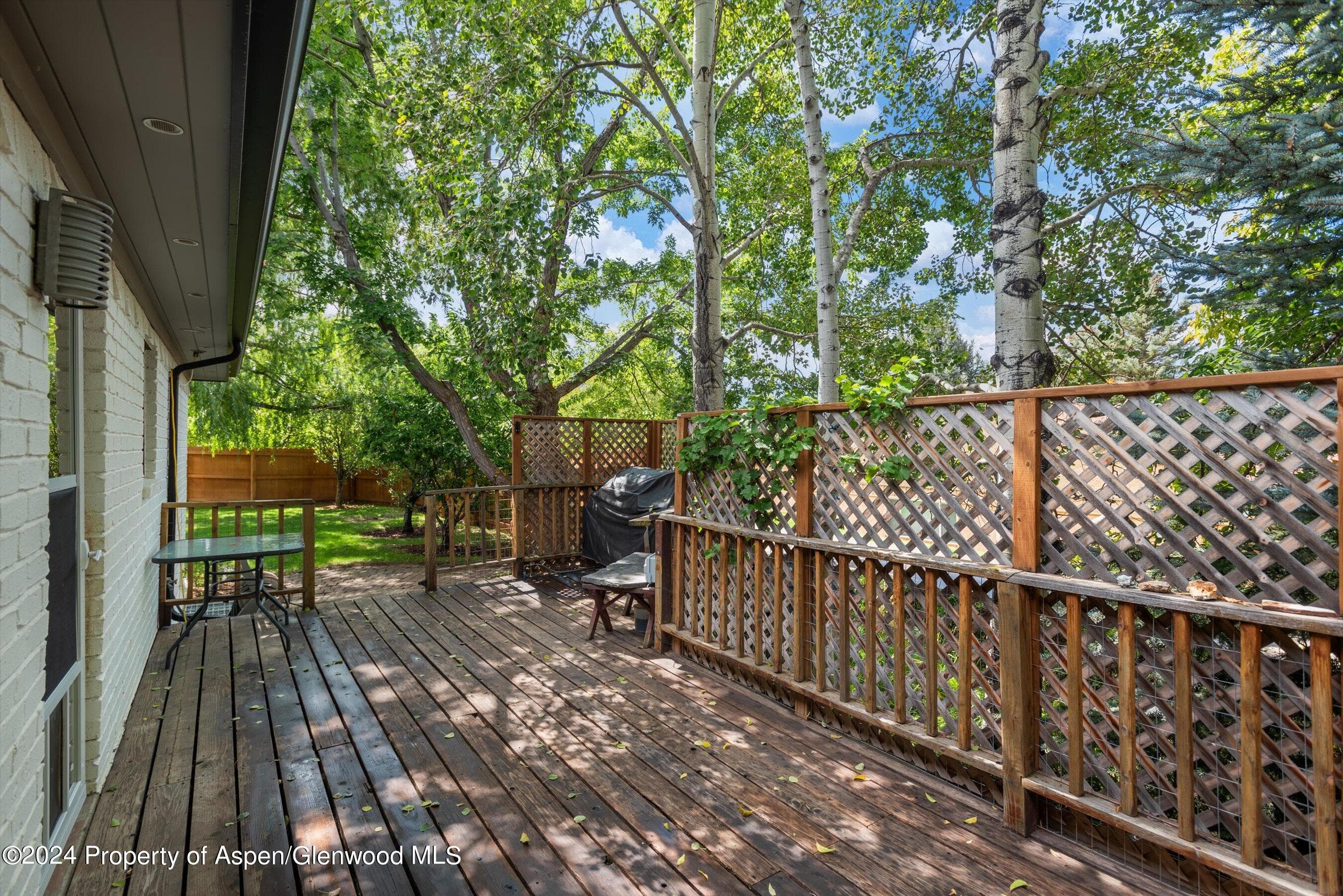 701 Latigo Loop, Carbondale, CO 81623 - Photo 39