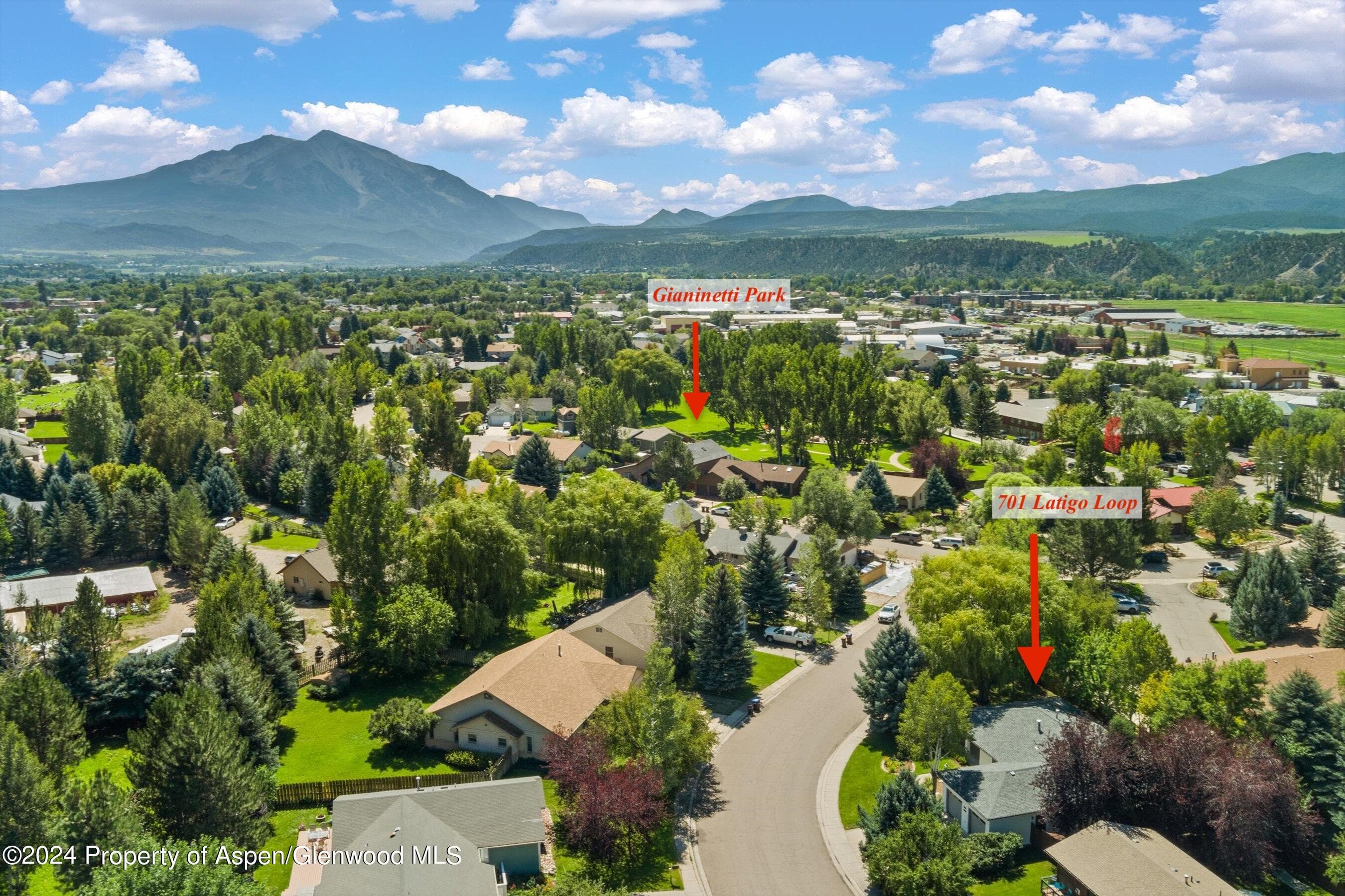 701 Latigo Loop, Carbondale, CO 81623 - Photo 4