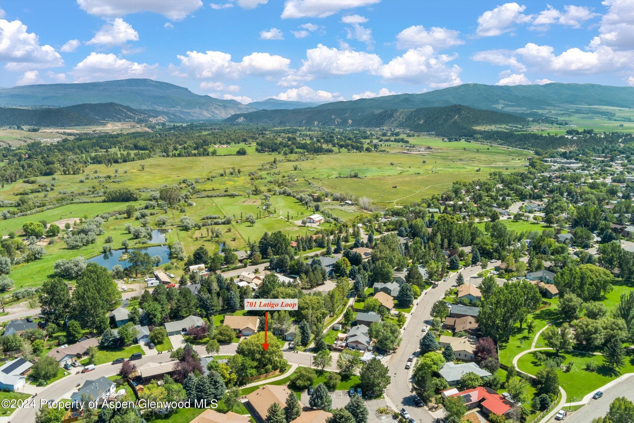 701 Latigo Loop, Carbondale, CO 81623 - Photo 46