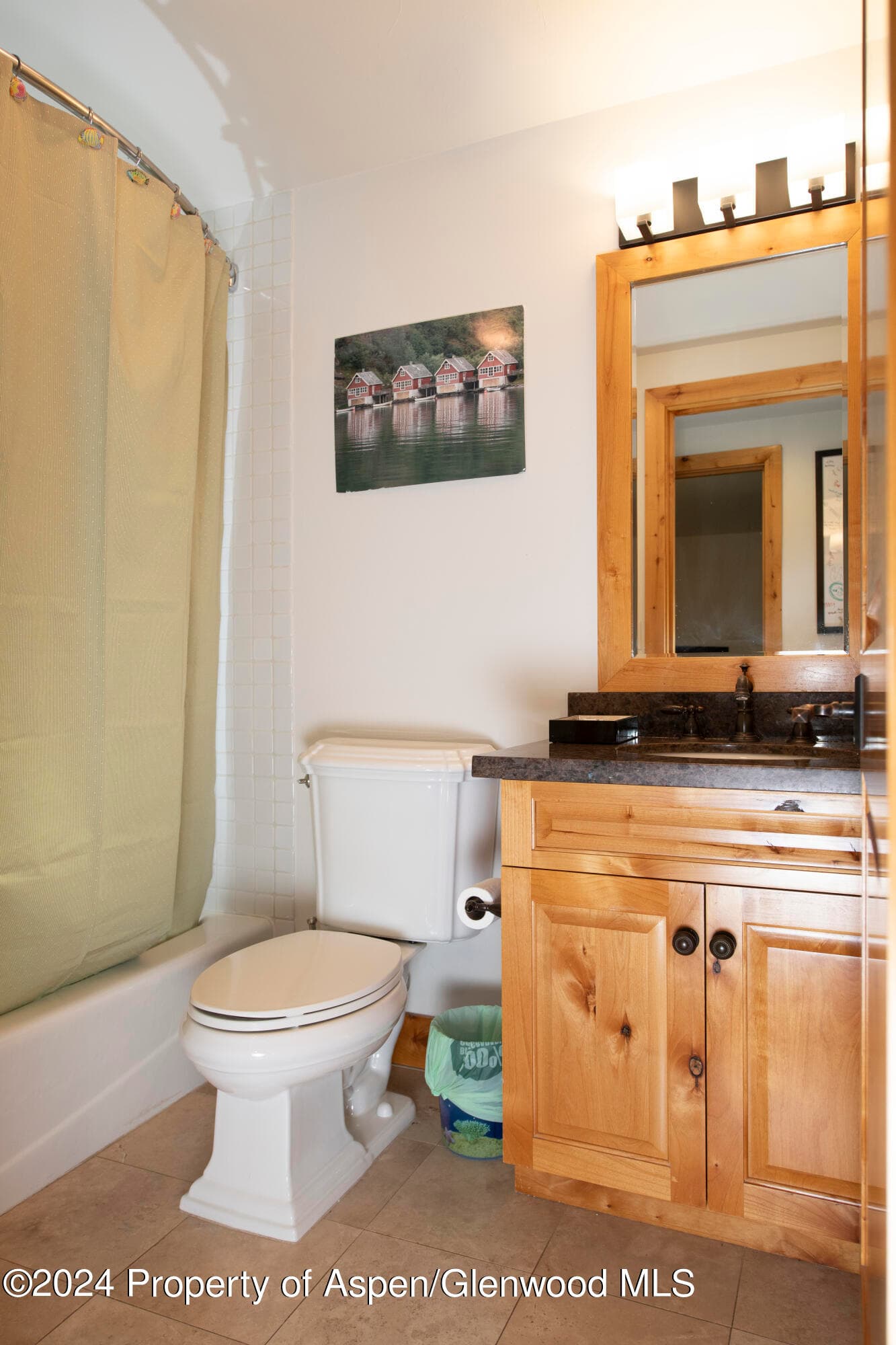 1325 MOUNTAIN VIEW Drive, Aspen, CO 81611 - Photo 12
