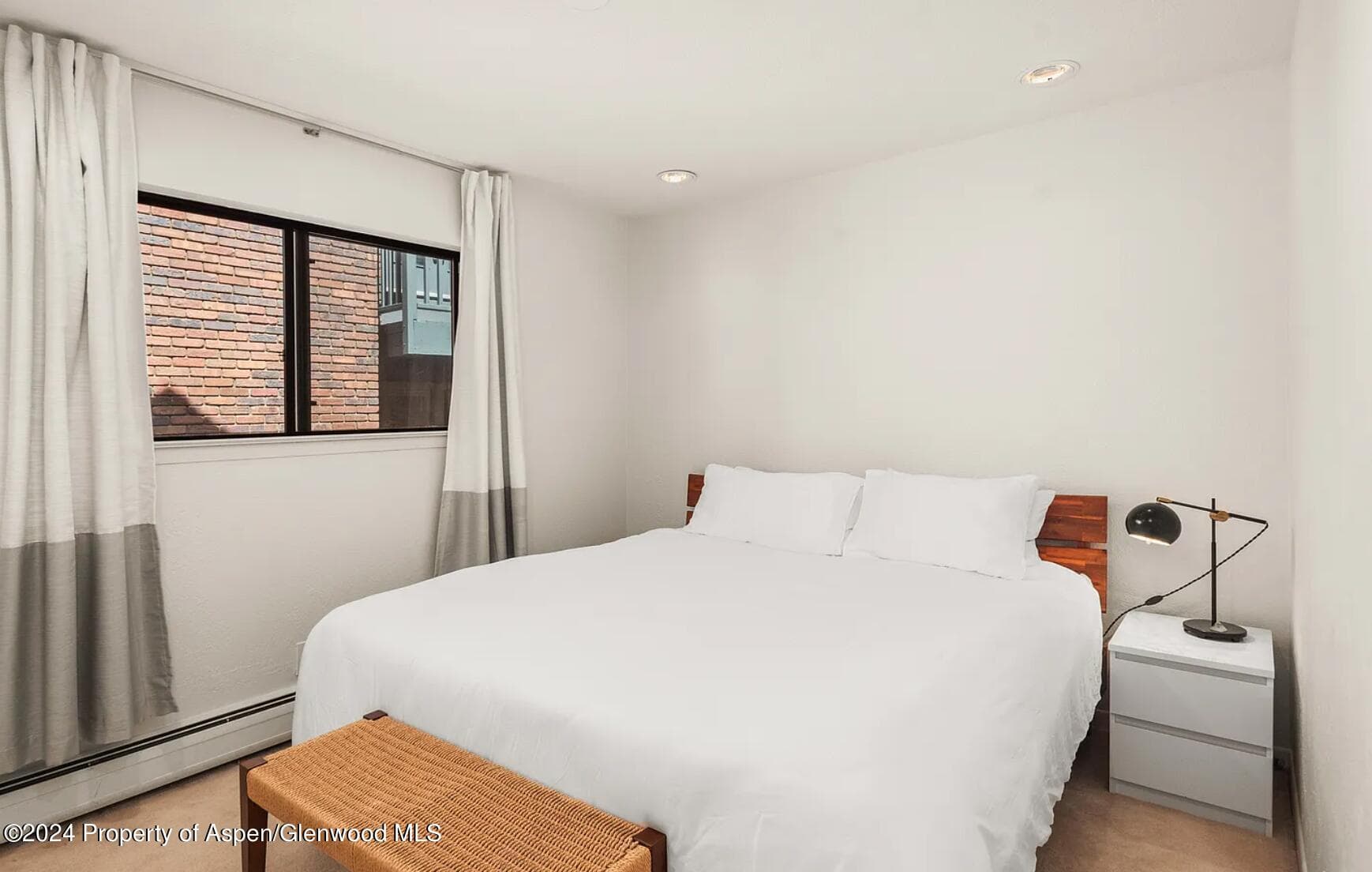 108 W Hyman Avenue 2, Aspen, CO 81611 - Photo 16