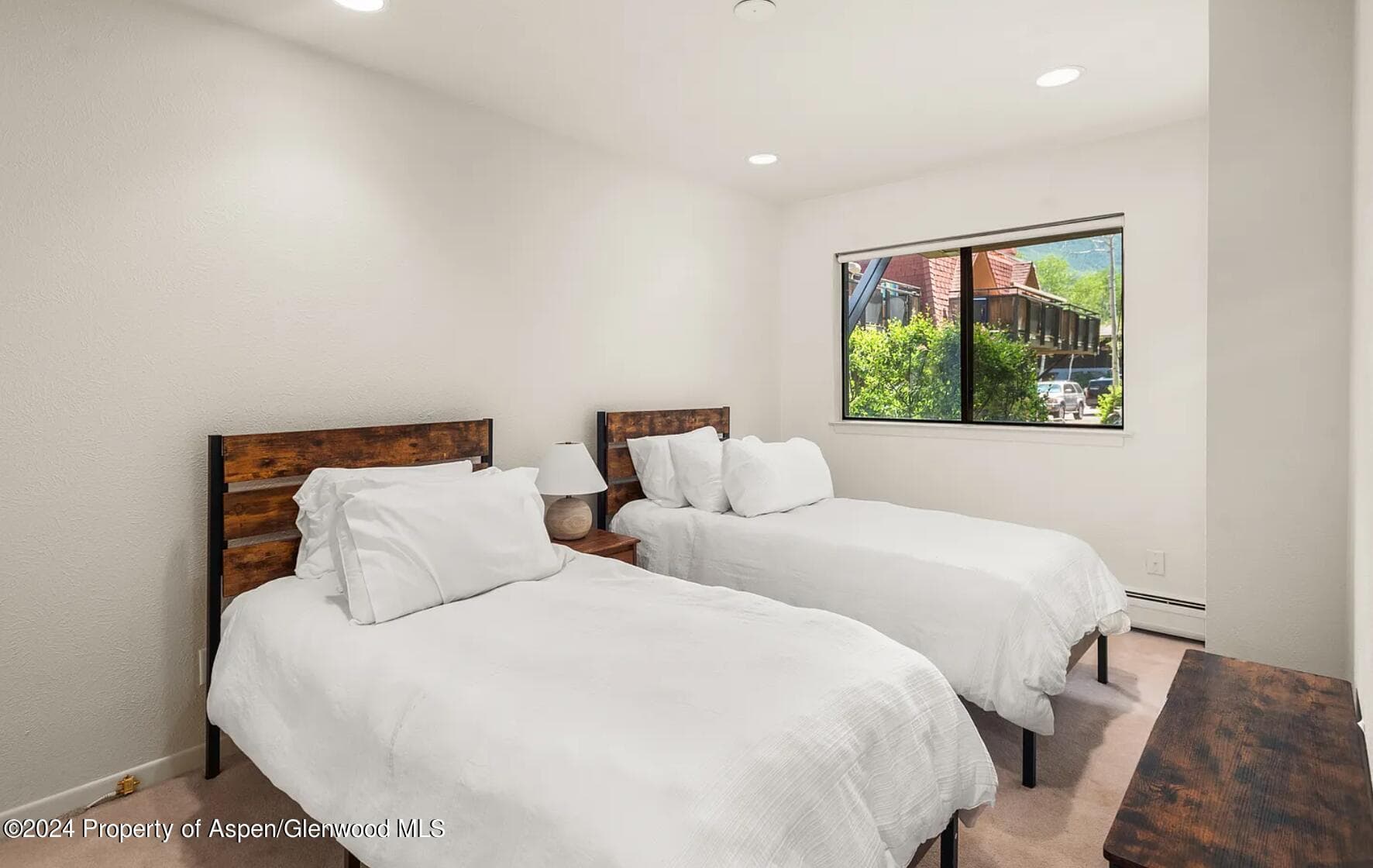 108 W Hyman Avenue 2, Aspen, CO 81611 - Photo 14