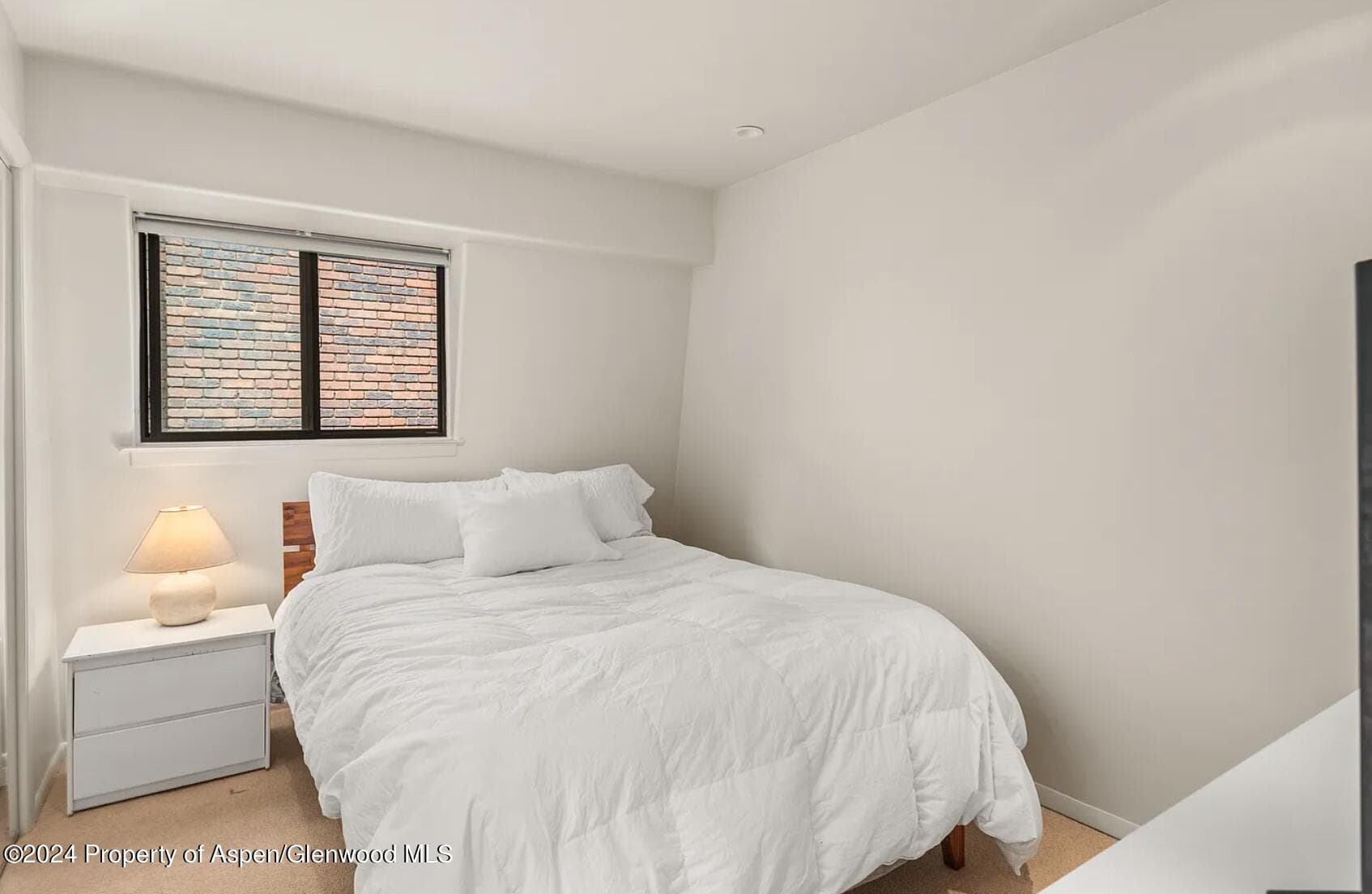 108 W Hyman Avenue 2, Aspen, CO 81611 - Photo 11