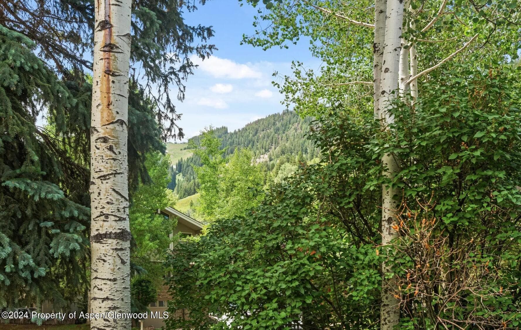 108 W Hyman Avenue 2, Aspen, CO 81611 - Photo 18