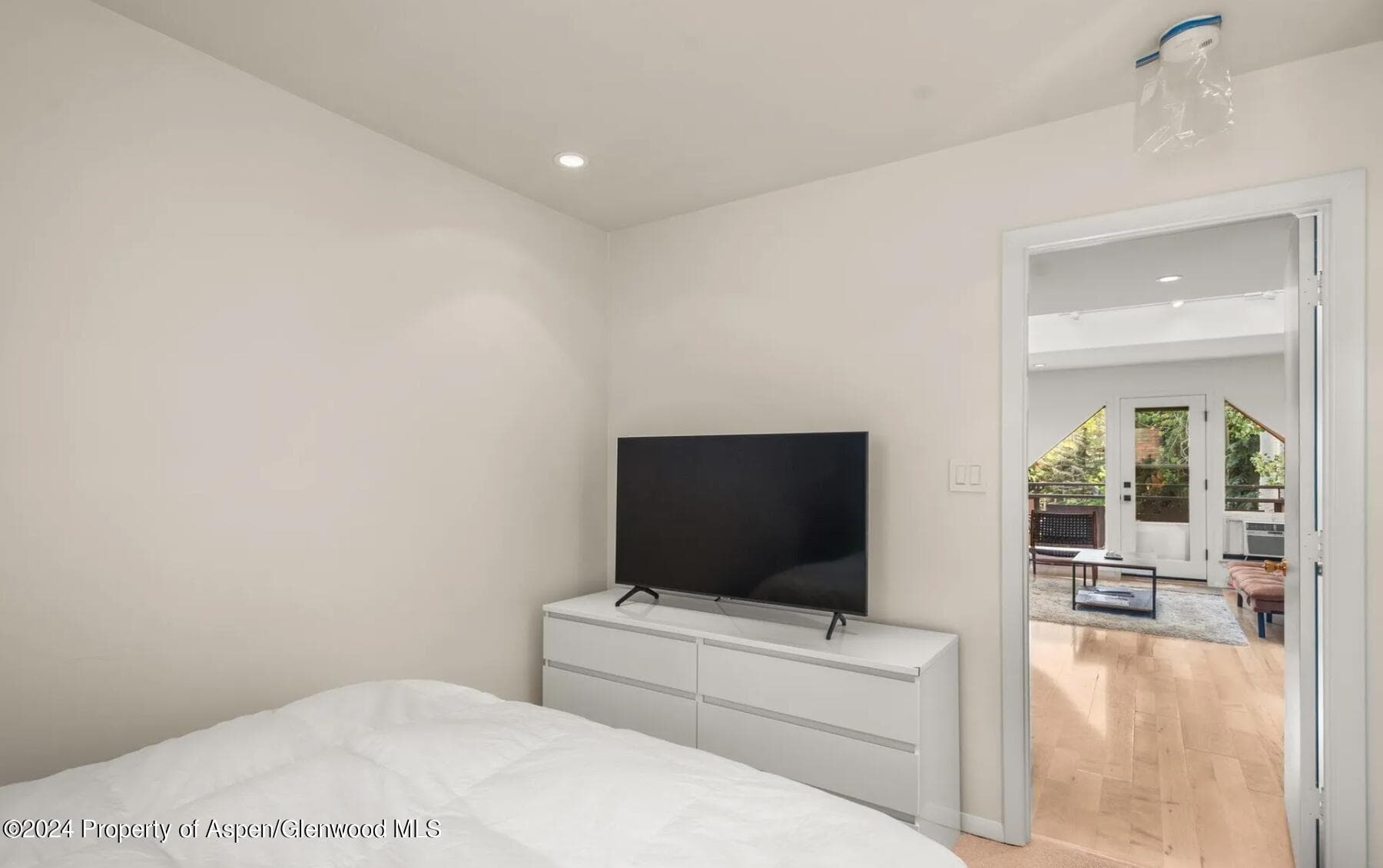 108 W Hyman Avenue 2, Aspen, CO 81611 - Photo 12