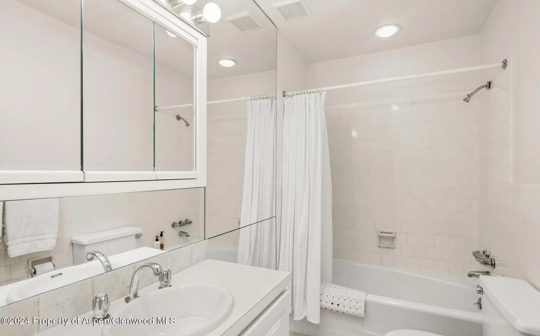 108 W Hyman Avenue 2, Aspen, CO 81611 - Photo 17