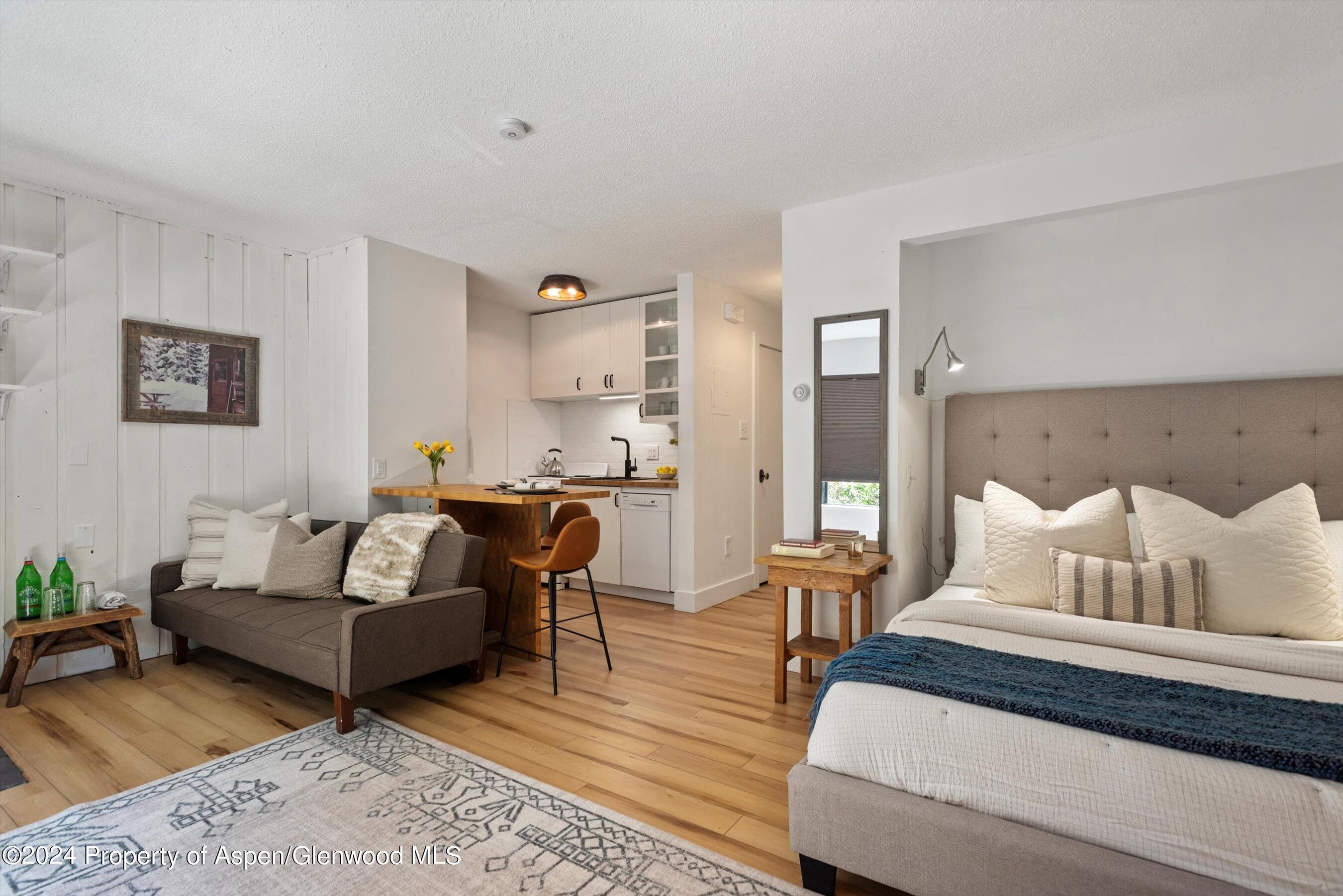 725 E Main Street #307, Aspen, CO 81611