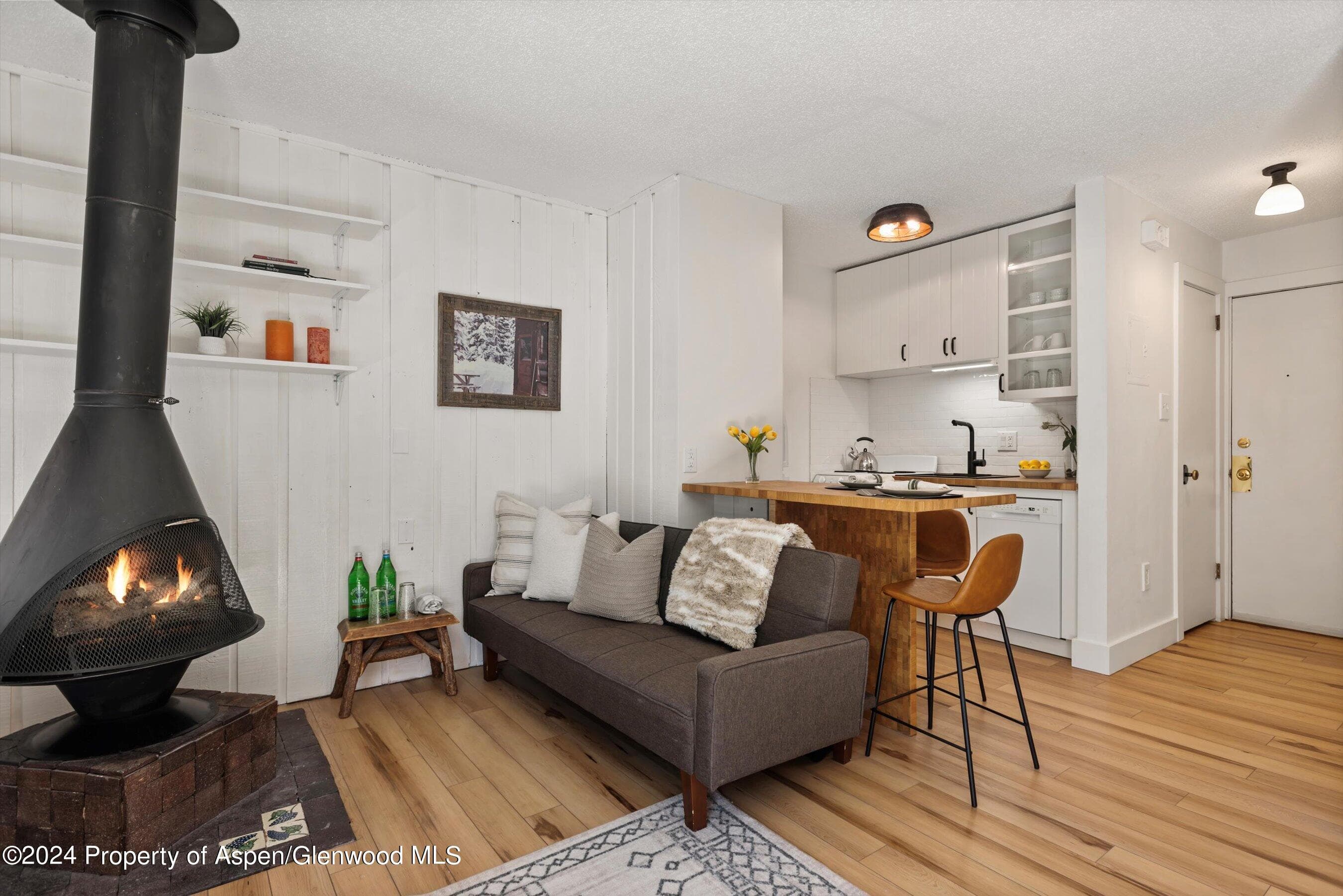 725 E Main Street #307, Aspen, CO 81611 - Photo 2