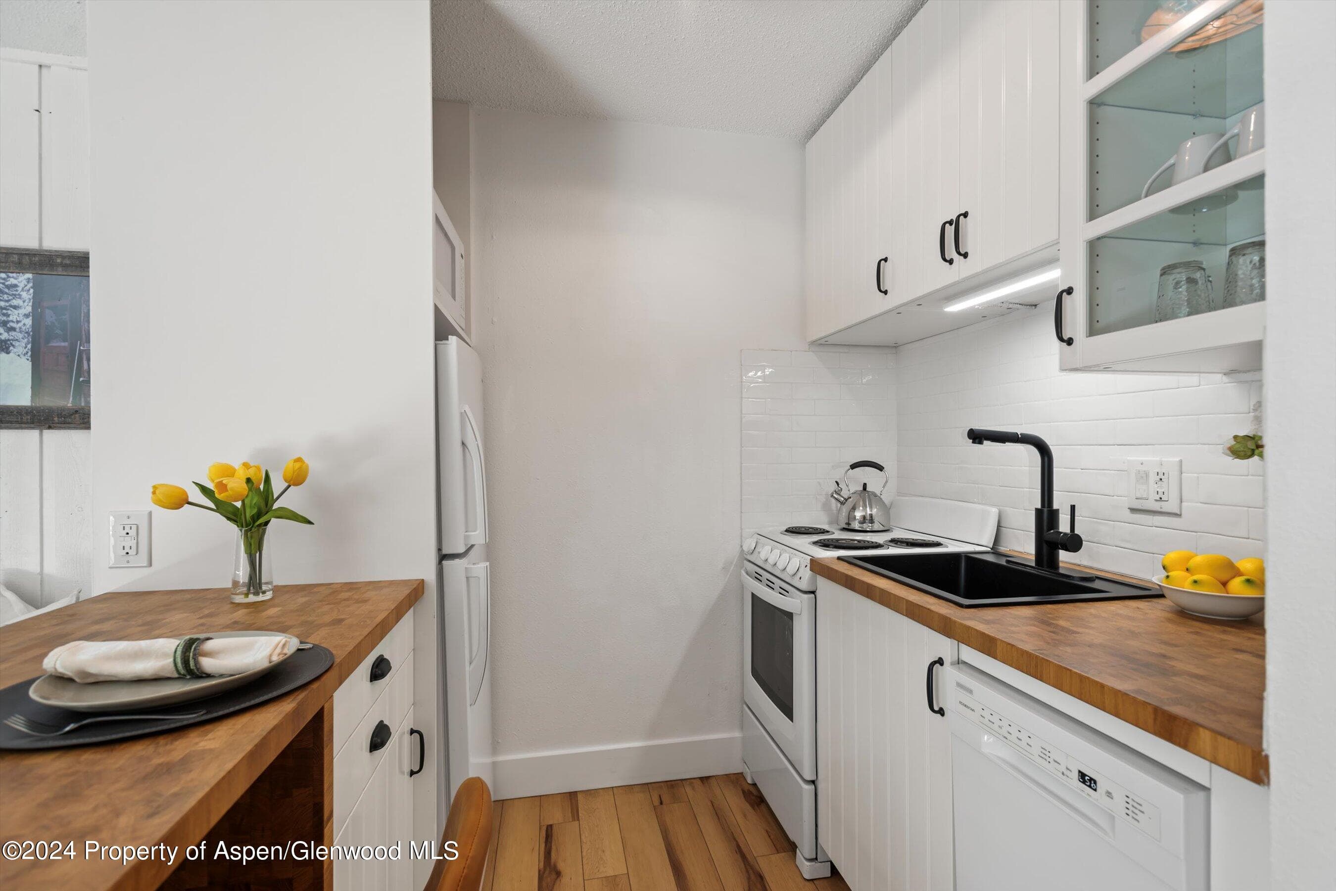 725 E Main Street #307, Aspen, CO 81611 - Photo 6