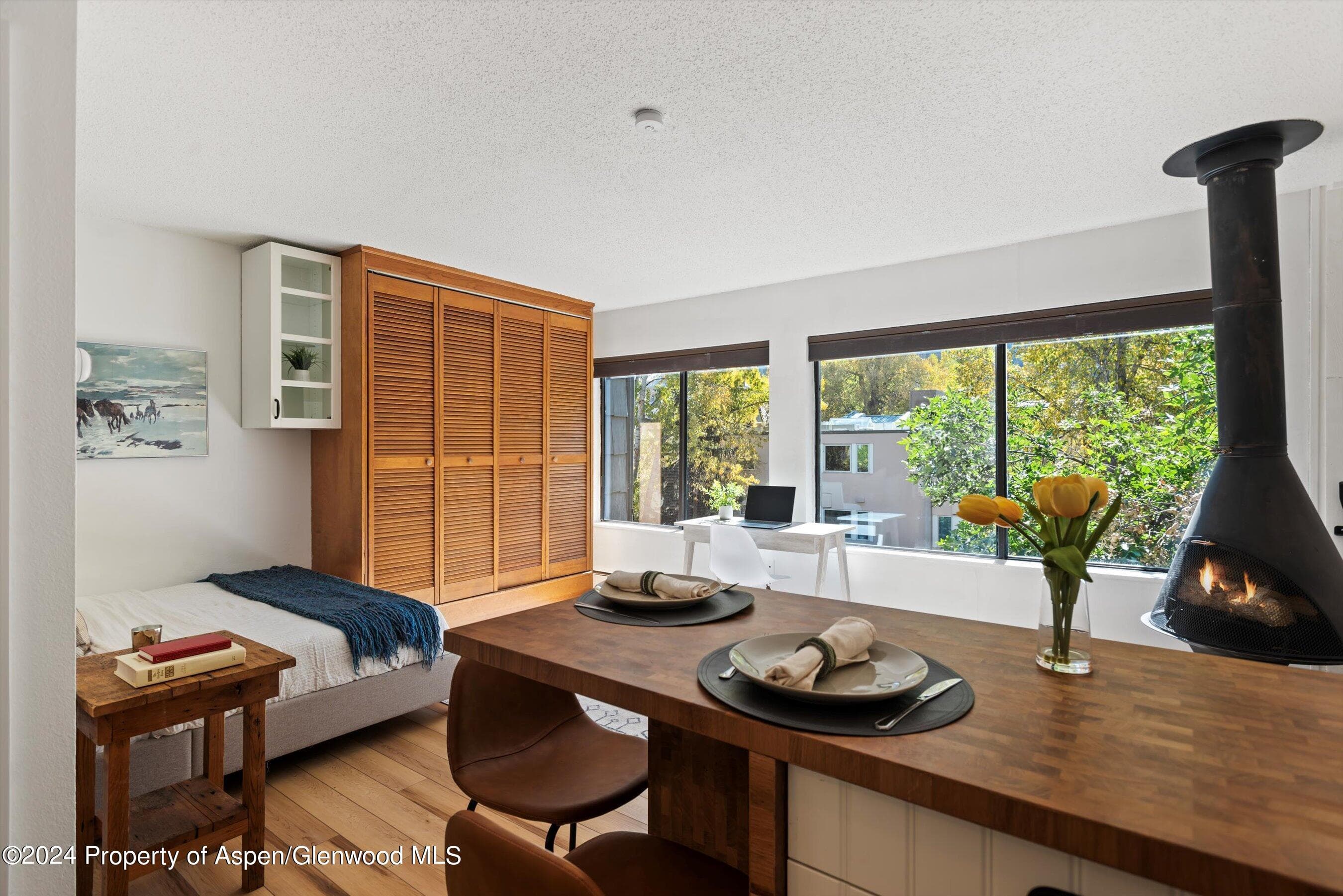 725 E Main Street #307, Aspen, CO 81611 - Photo 7