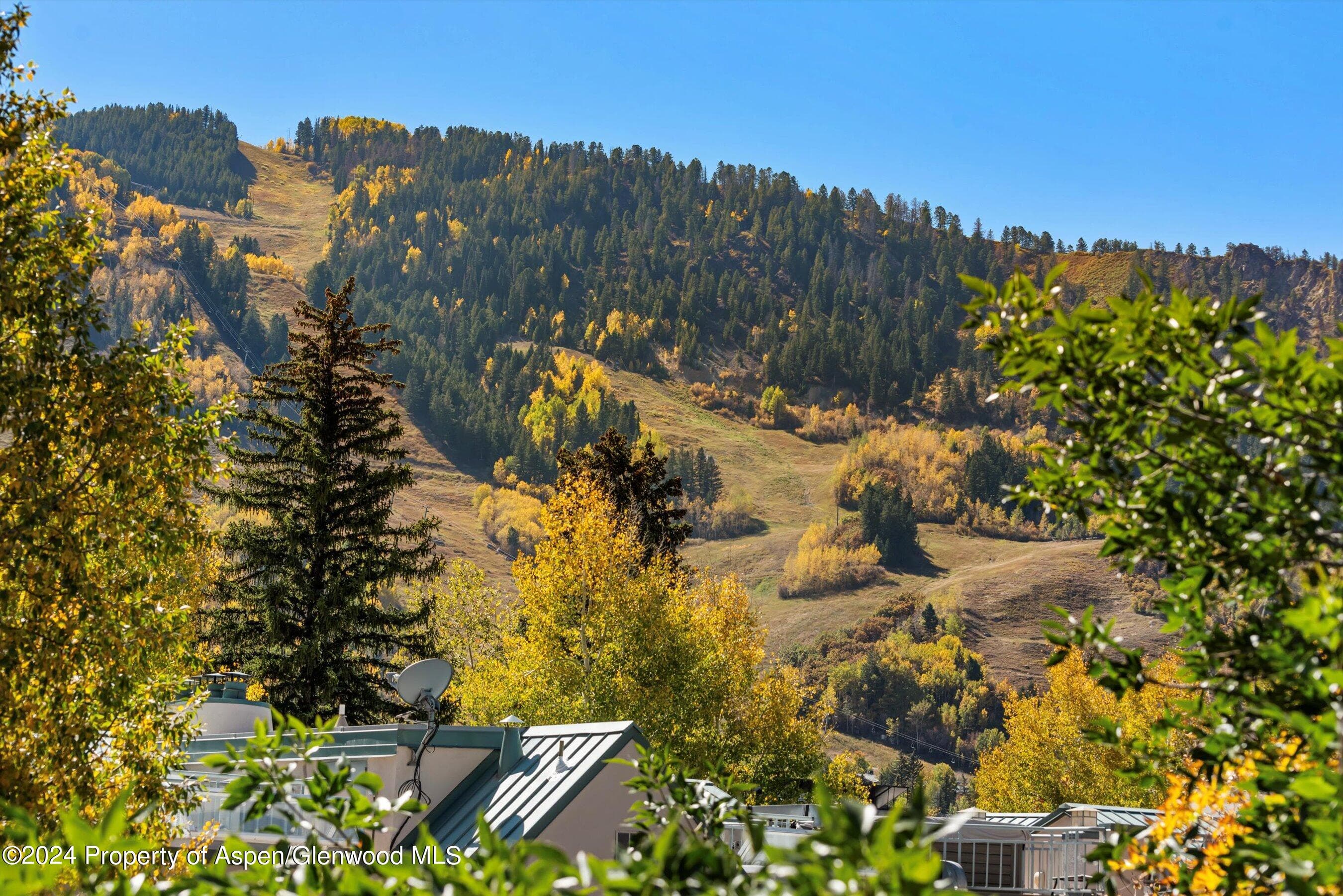 725 E Main Street #307, Aspen, CO 81611 - Photo 4