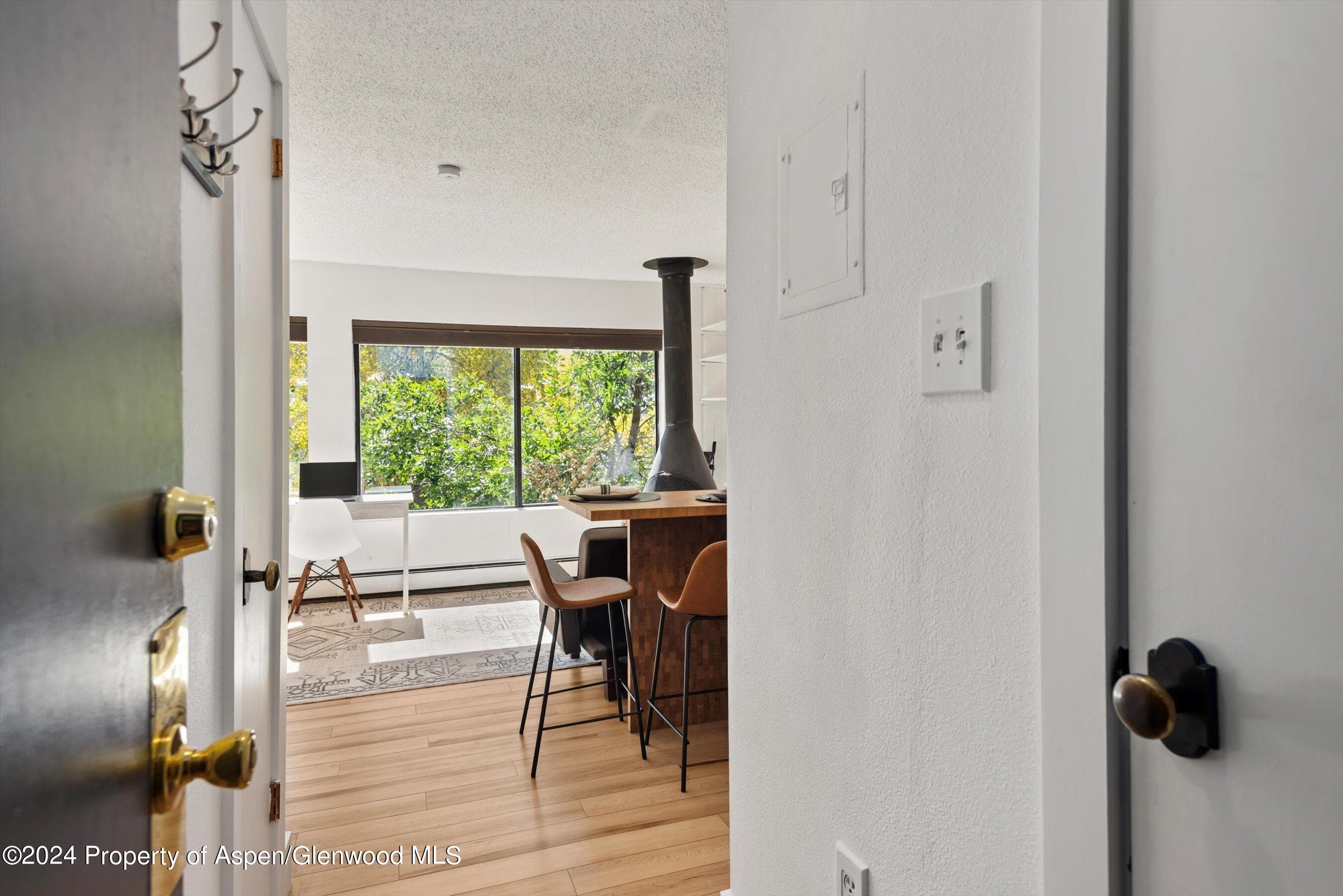 725 E Main Street #307, Aspen, CO 81611 - Photo 10