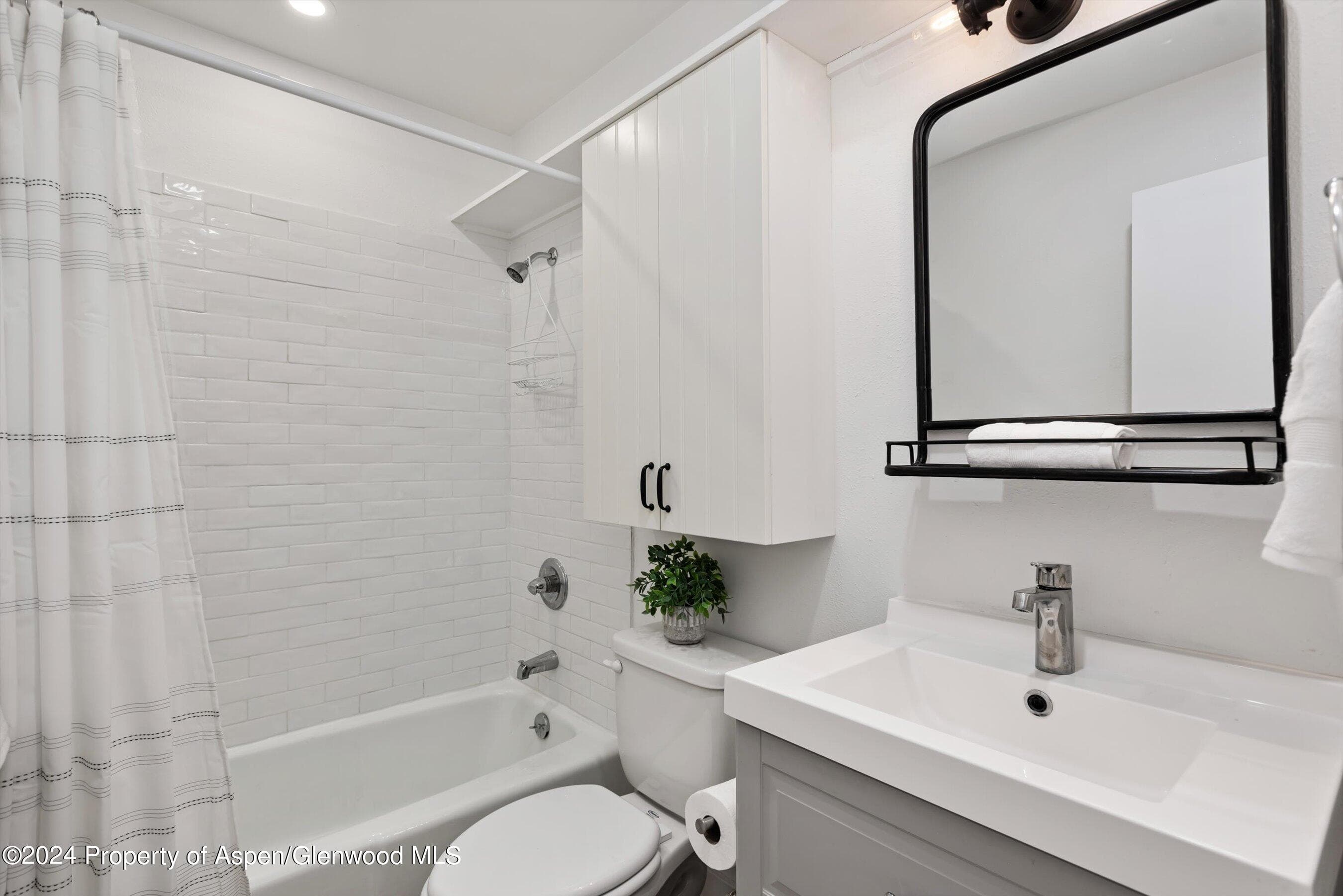 725 E Main Street #307, Aspen, CO 81611 - Photo 9