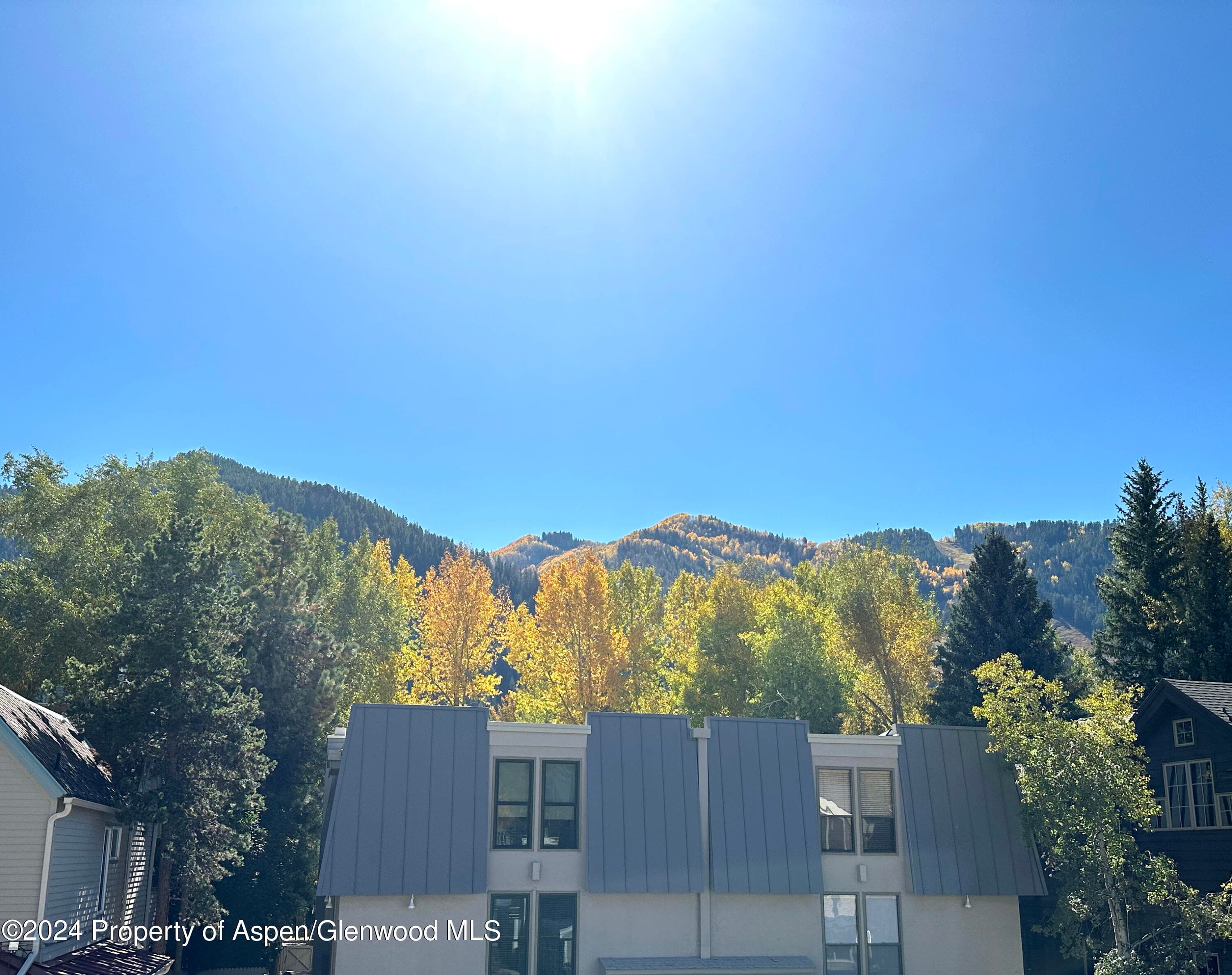 935 E Hopkins #12, Aspen, CO 81611 - Photo 16