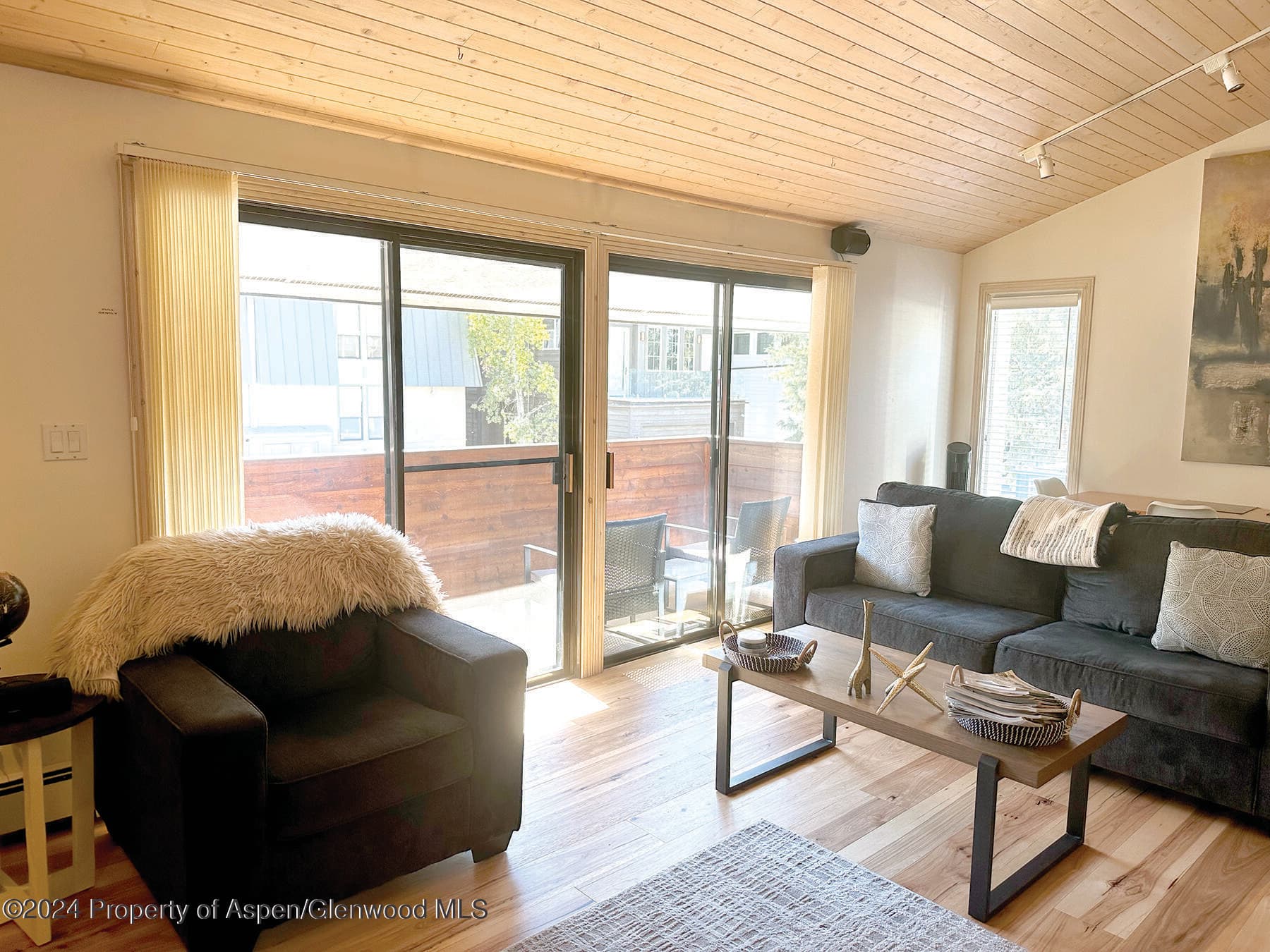 935 E Hopkins #12, Aspen, CO 81611 - Photo 4
