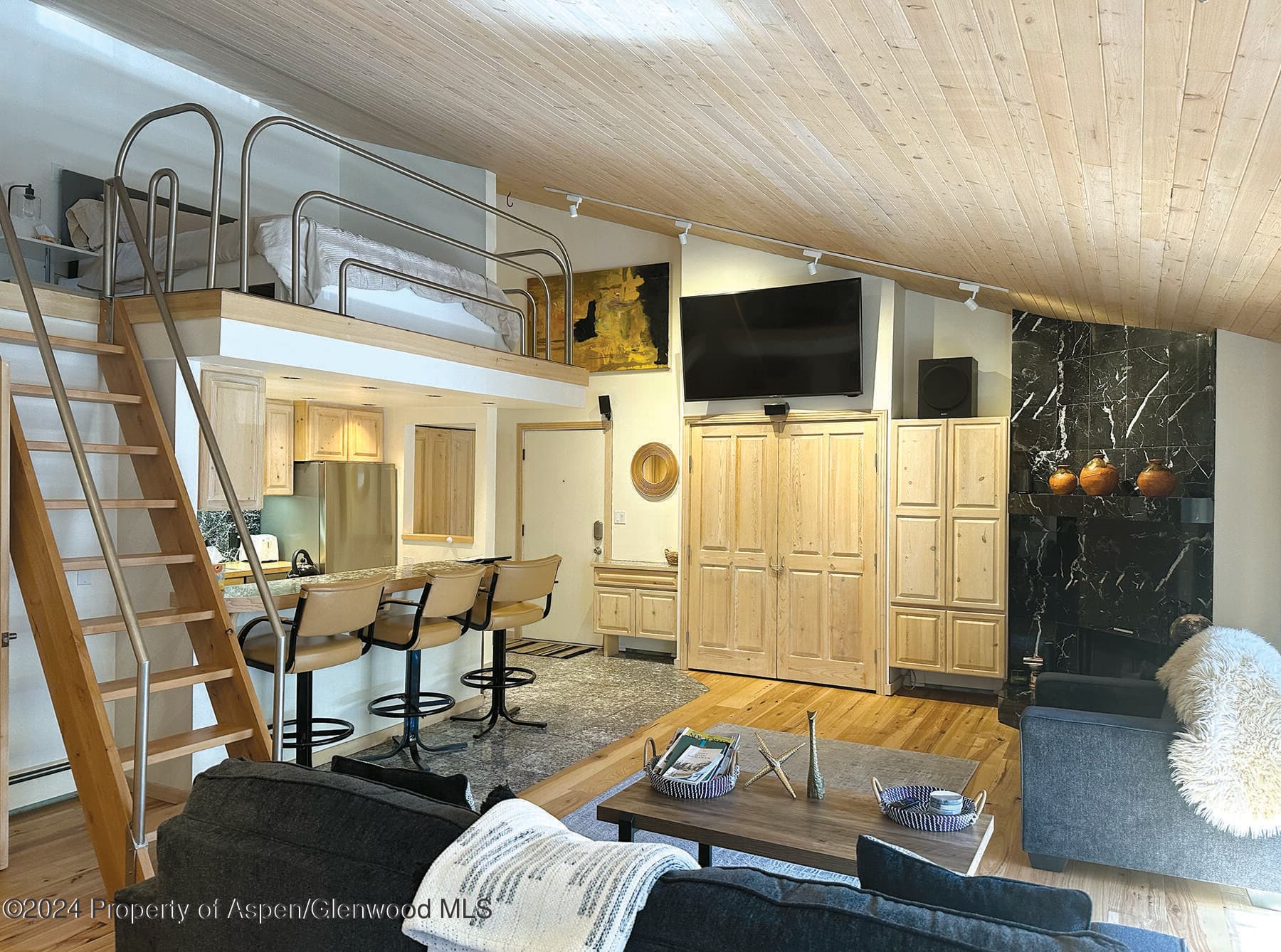 935 E Hopkins #12, Aspen, CO 81611 - Photo 3