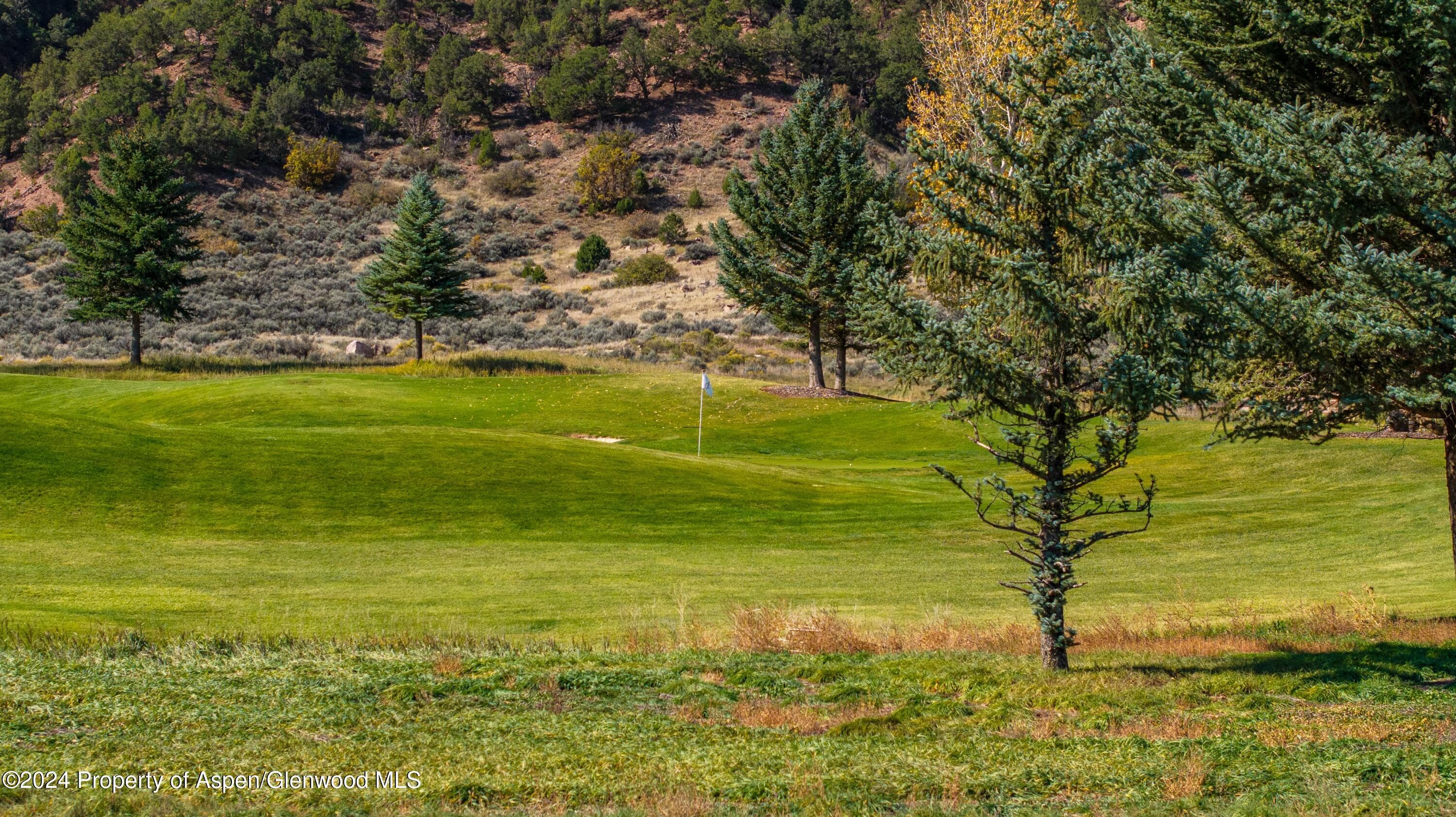 TBD Golden Bear Drive, Carbondale, CO 81623 - Photo 13