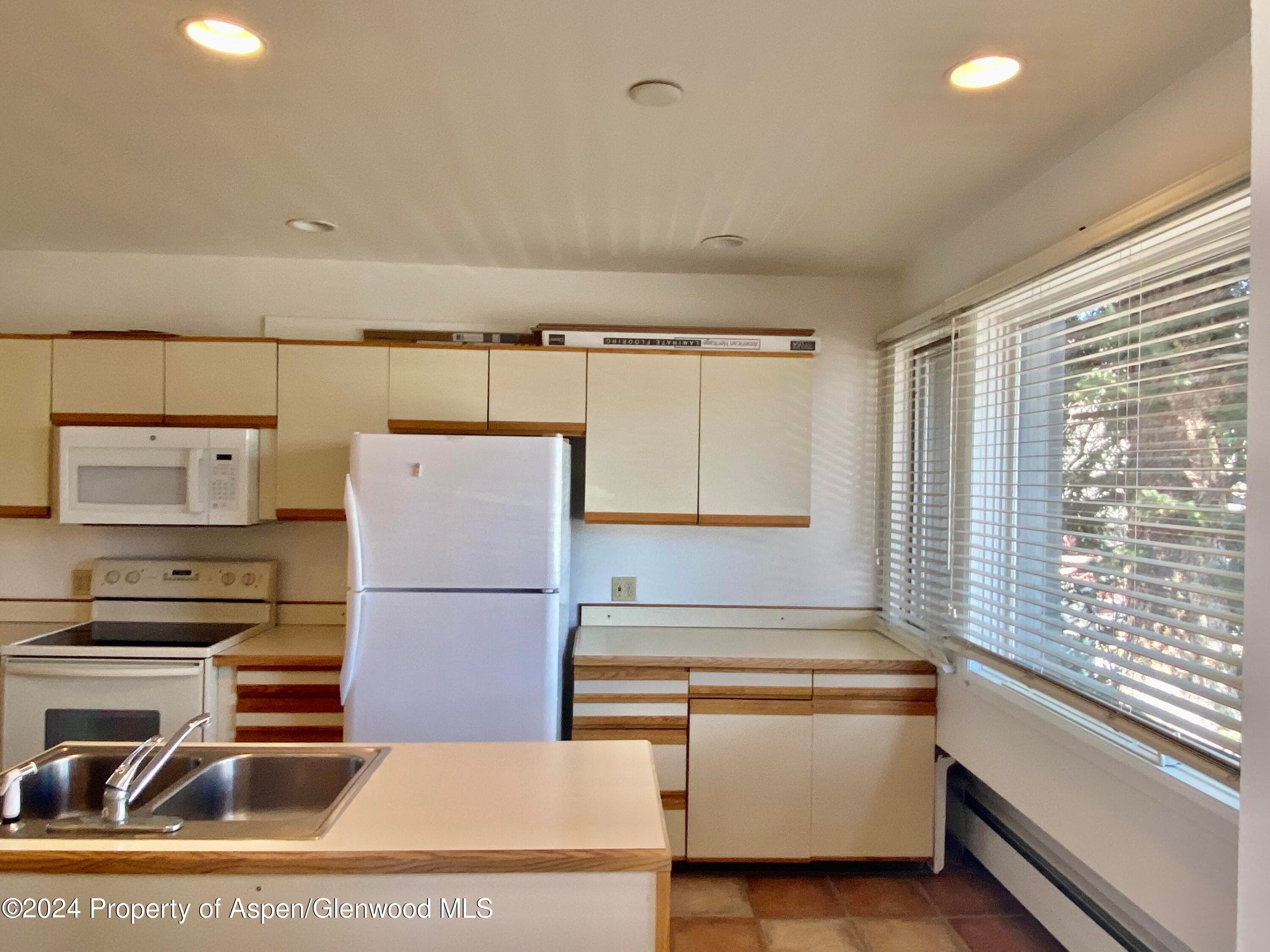 309 Pacific Ave / ABC Unit M, Aspen, CO 81611