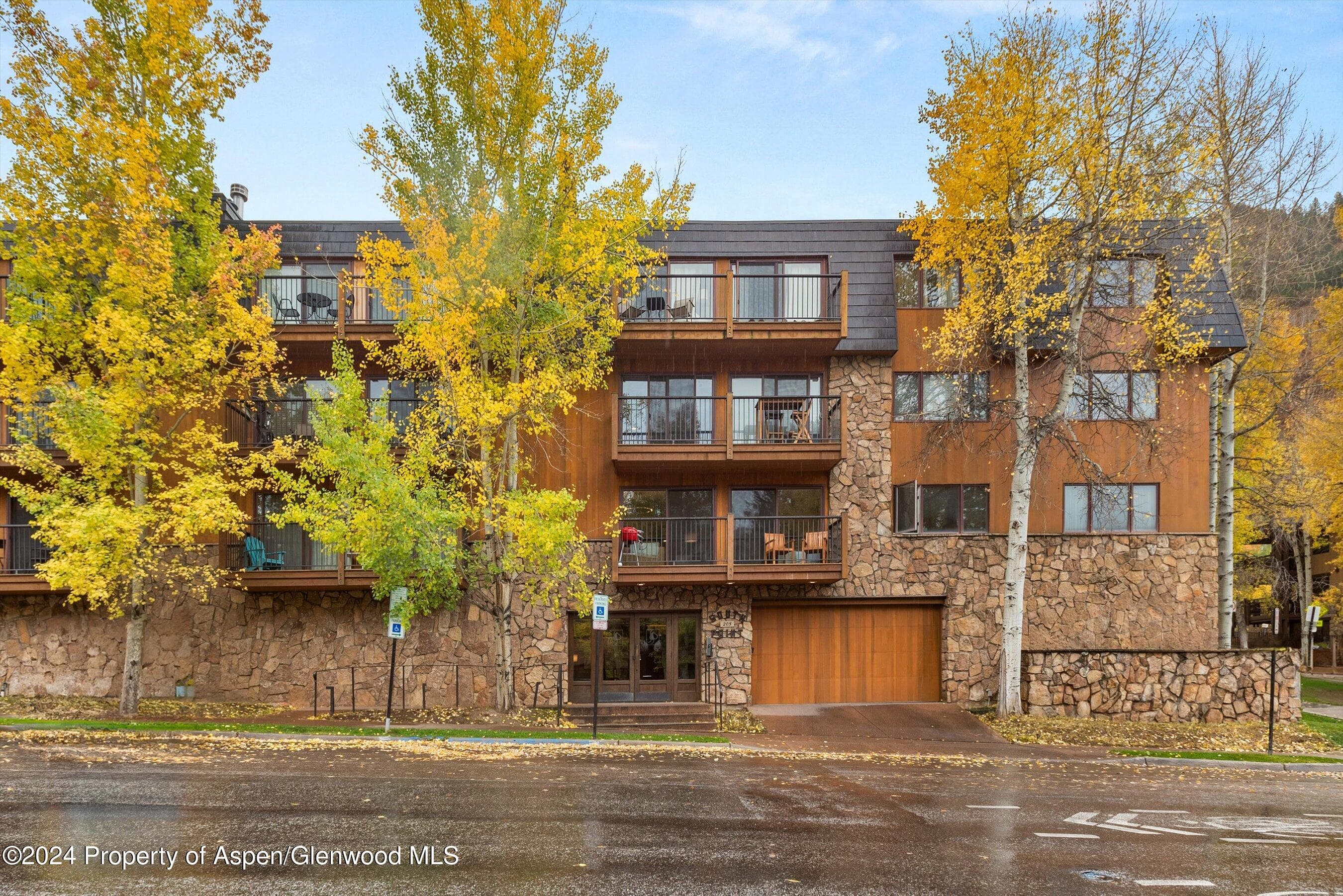 205 E Durant Avenue 1C, Aspen, CO 81611 - Photo 12