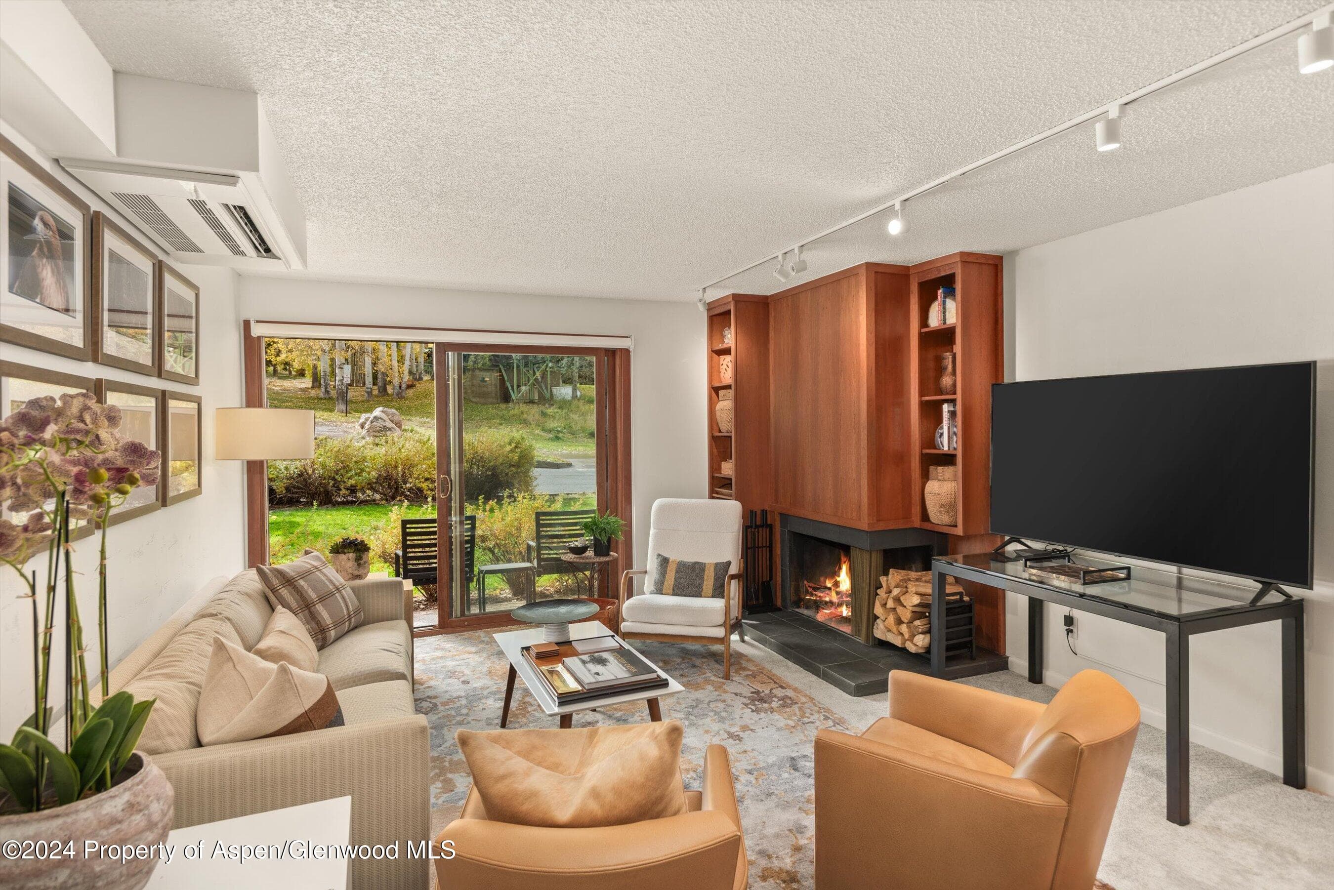205 E Durant Avenue 1C, Aspen, CO 81611 - Photo 2