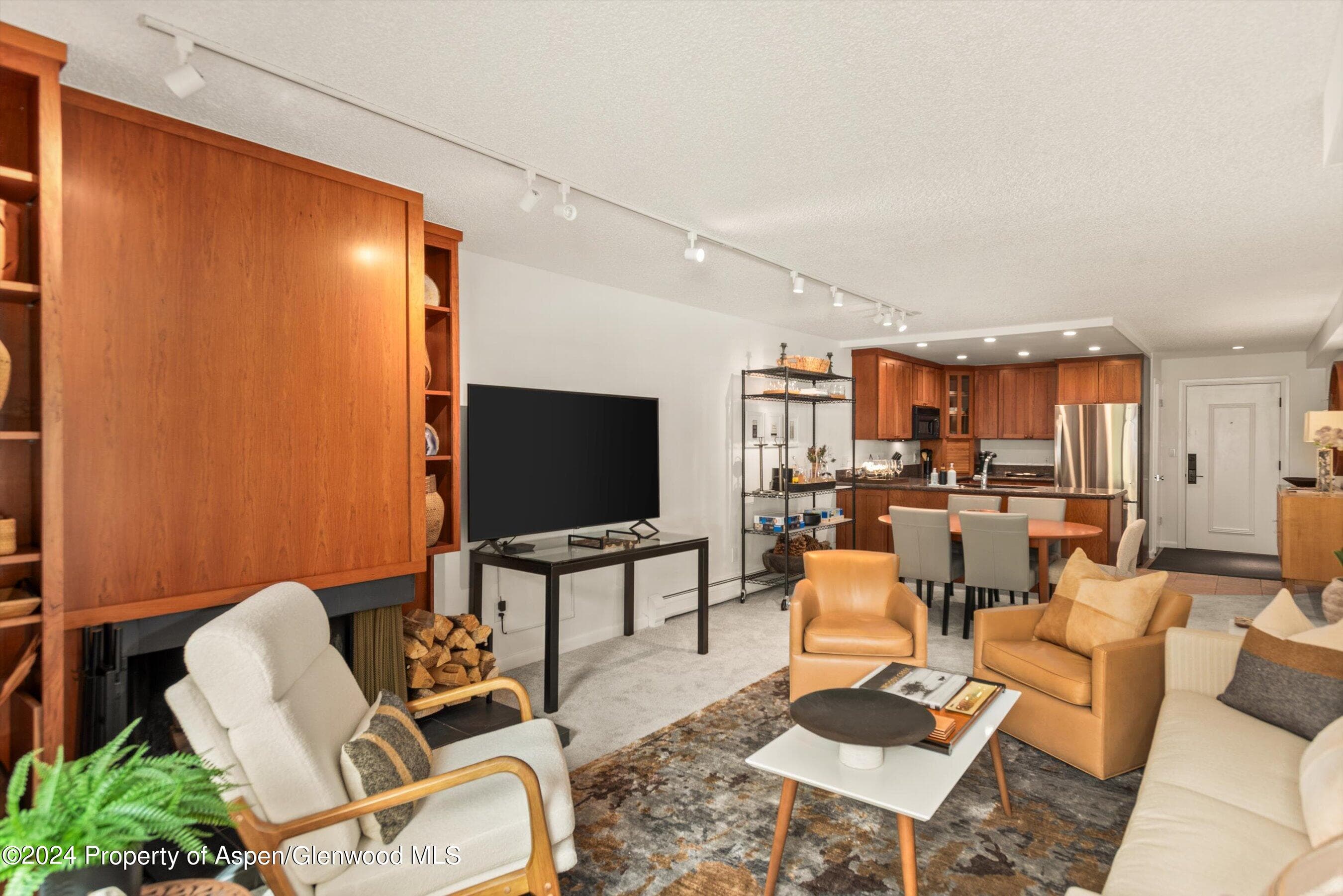 205 E Durant Avenue 1C, Aspen, CO 81611 - Photo 3