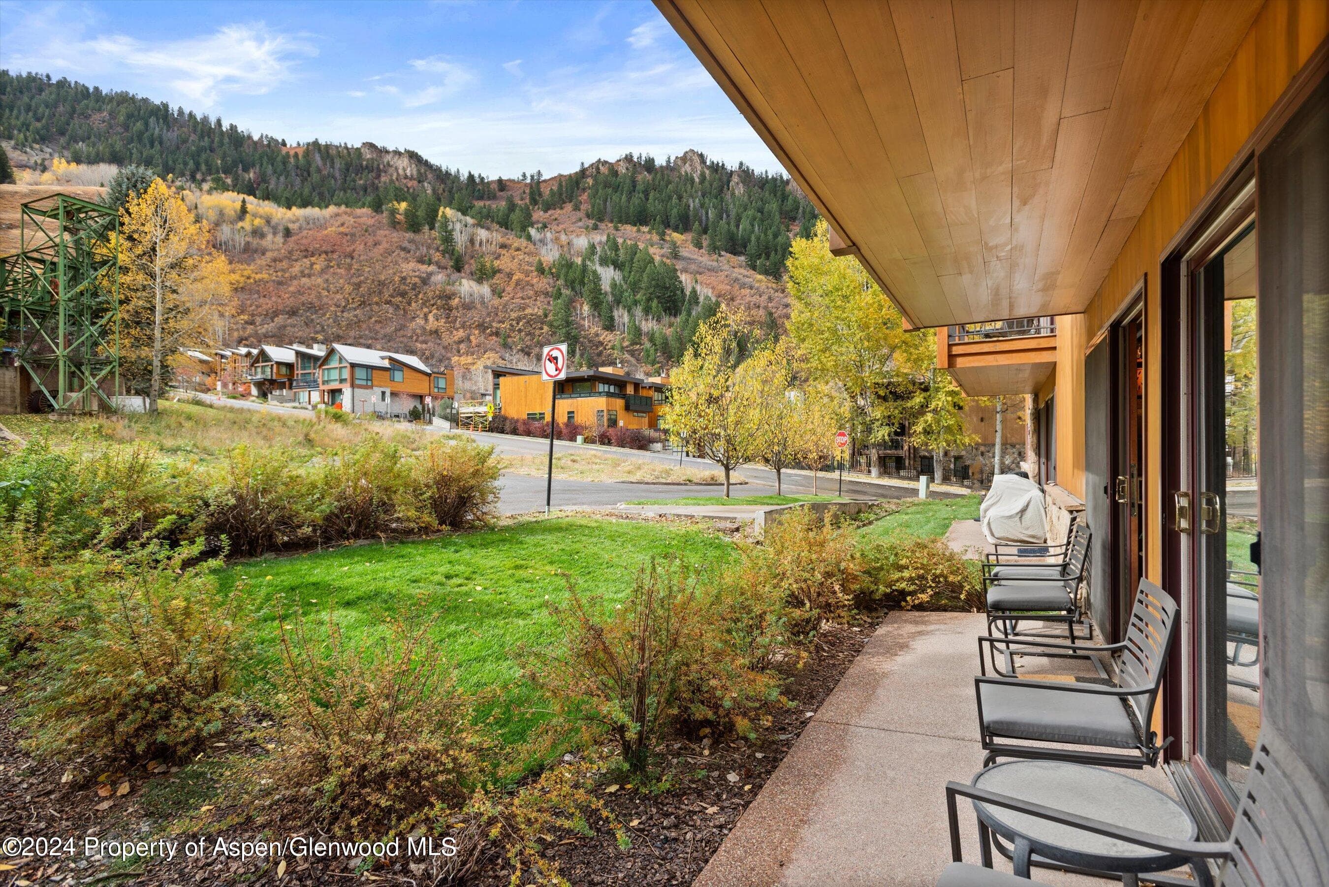 205 E Durant Avenue 1C, Aspen, CO 81611 - Photo 10