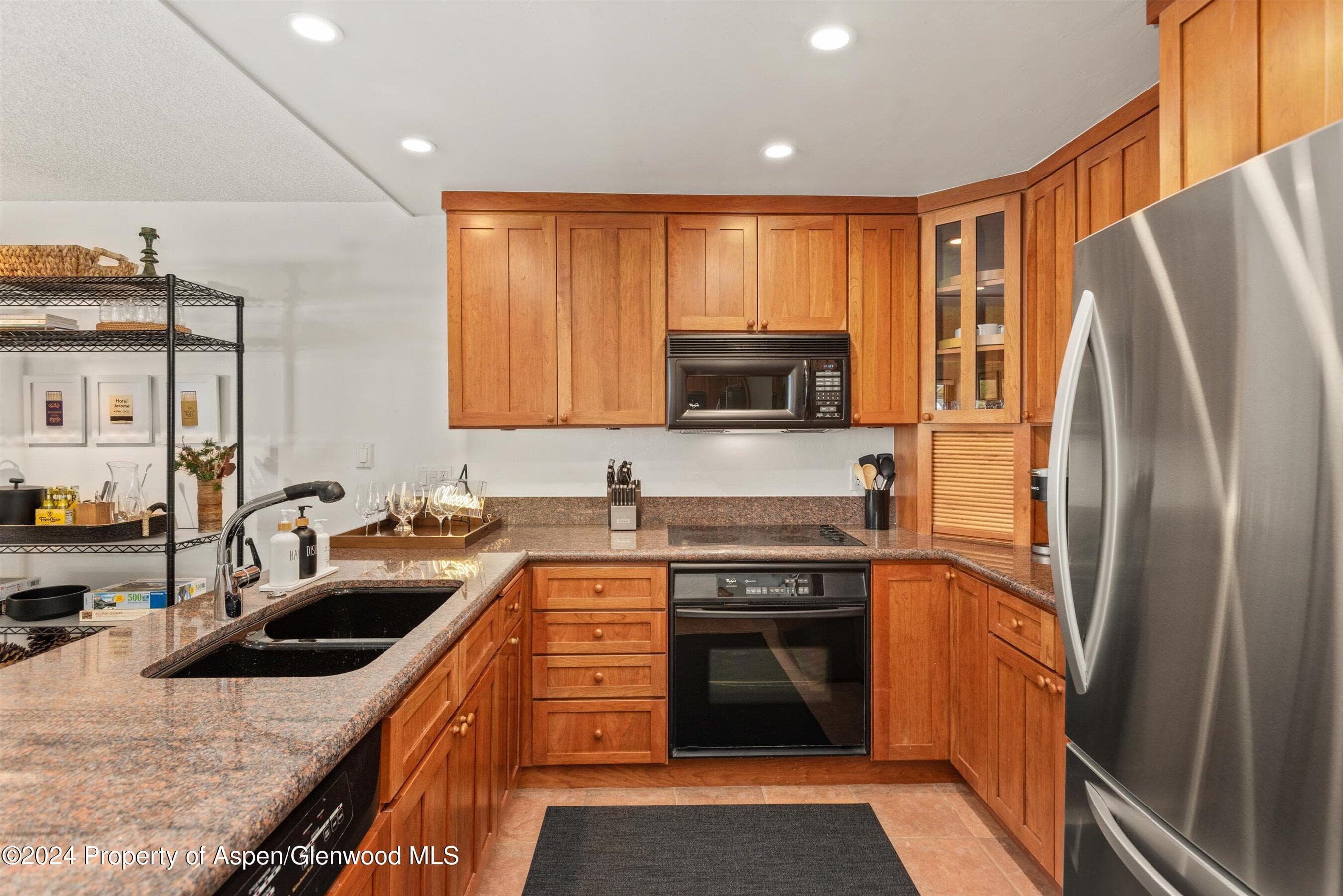 205 E Durant Avenue 1C, Aspen, CO 81611 - Photo 4