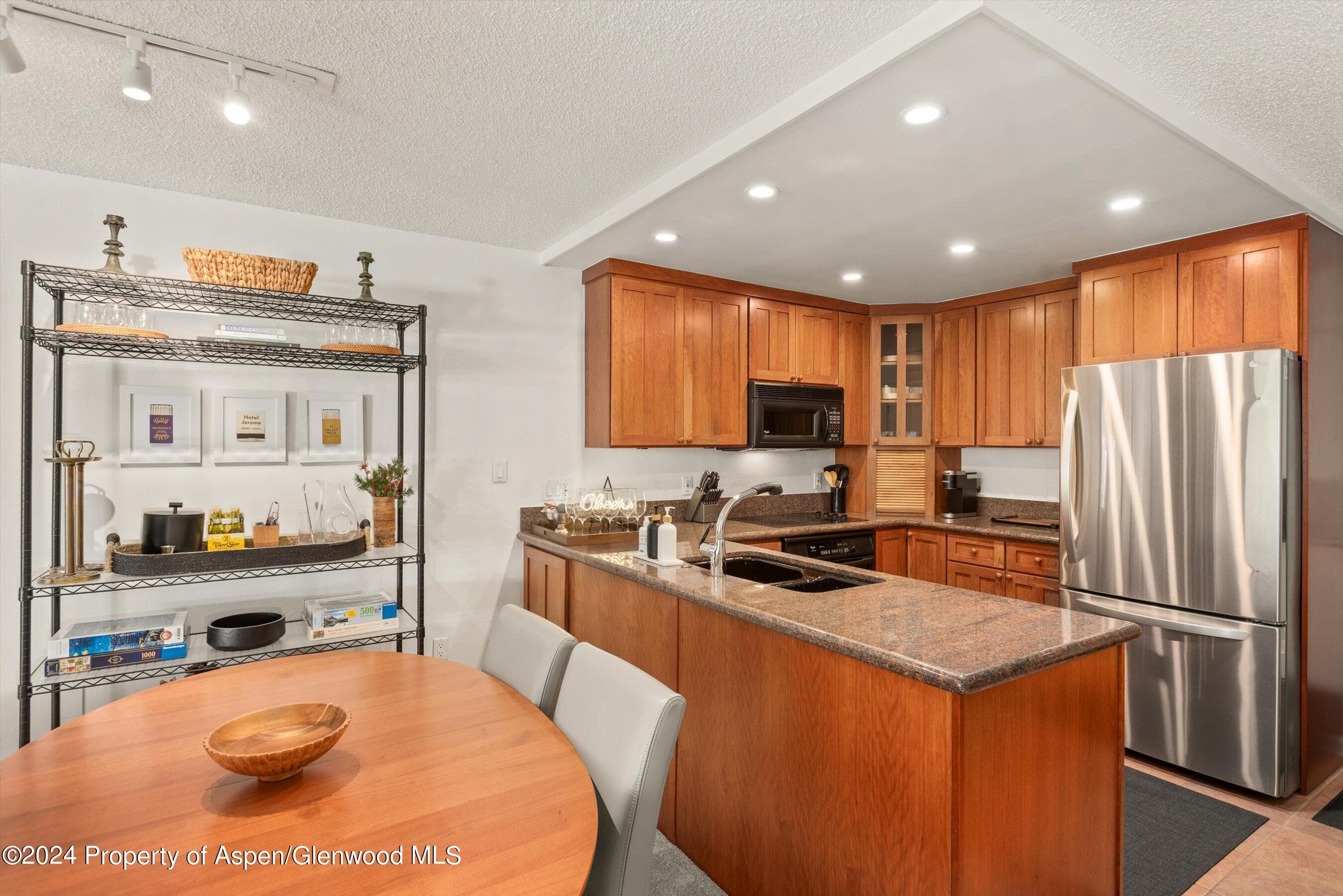205 E Durant Avenue 1C, Aspen, CO 81611 - Photo 5