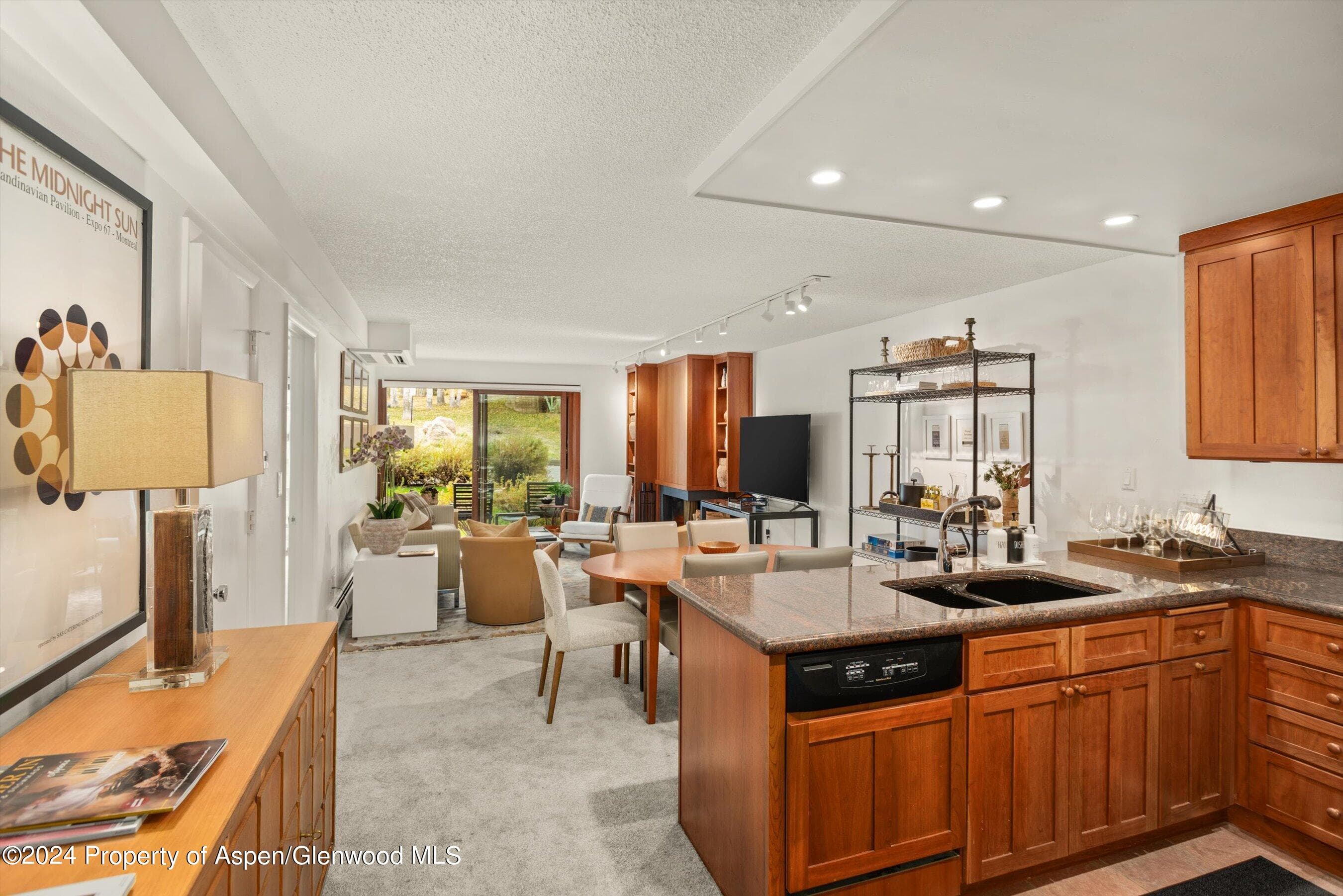 205 E Durant Avenue 1C, Aspen, CO 81611 - Photo 6