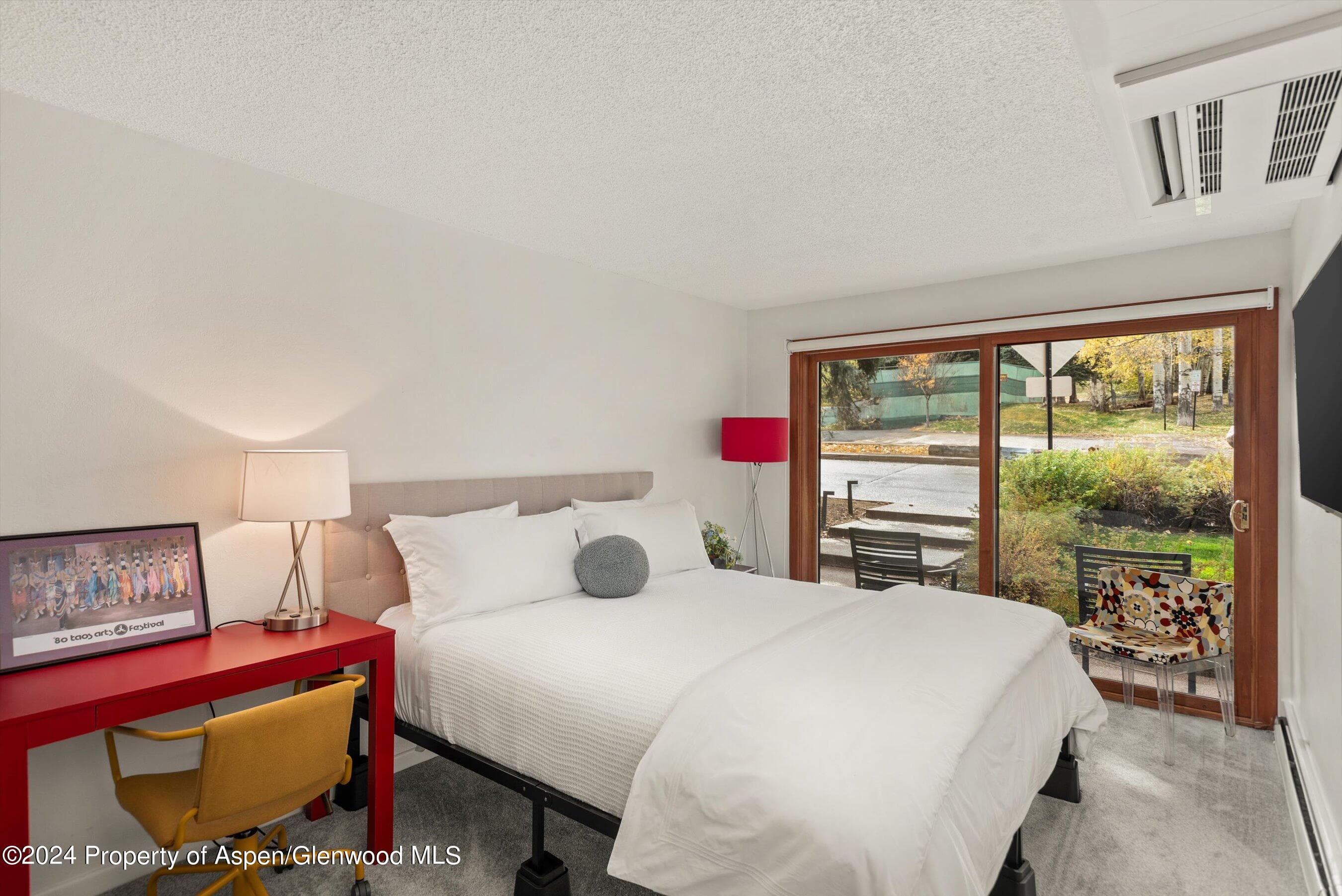 205 E Durant Avenue 1C, Aspen, CO 81611 - Photo 7
