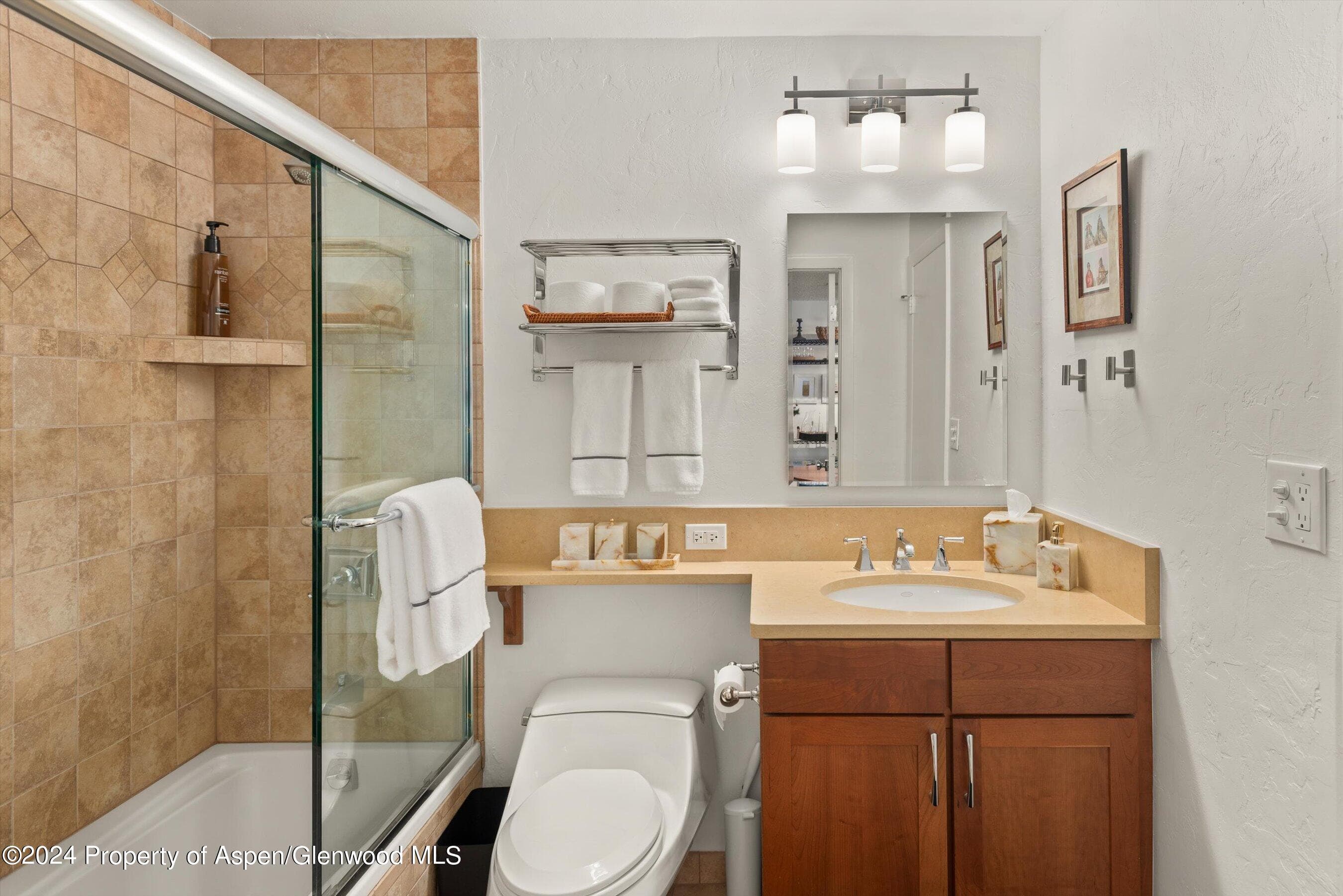 205 E Durant Avenue 1C, Aspen, CO 81611 - Photo 8