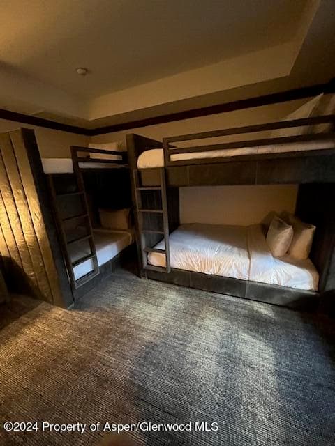 415 E Dean Street 42 ABC. Wk 51/52, Aspen, CO 81611 - Photo 23