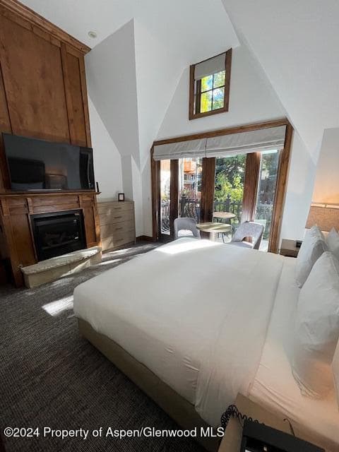 415 E Dean Street 42 ABC. Wk 51/52, Aspen, CO 81611 - Photo 15
