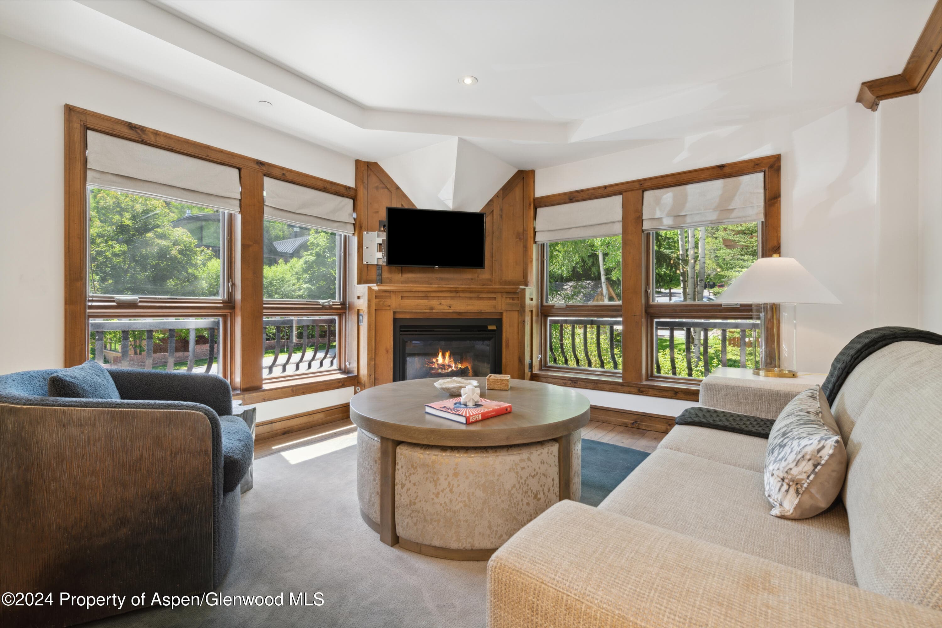 415 E Dean Street 44abc Weeks 51/52, Aspen, CO 81611 - Photo 2