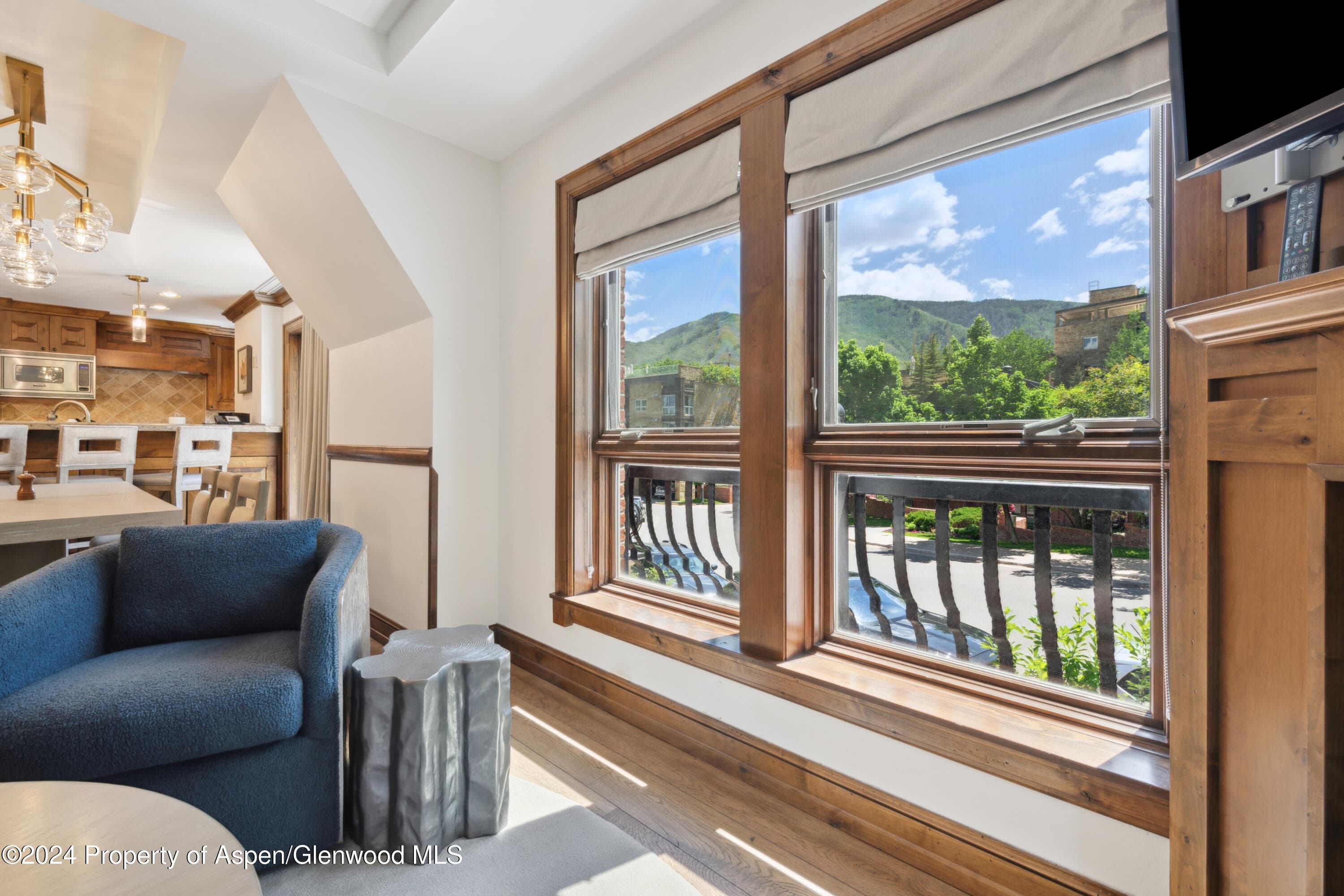 415 E Dean Street 44abc Weeks 51/52, Aspen, CO 81611 - Photo 5