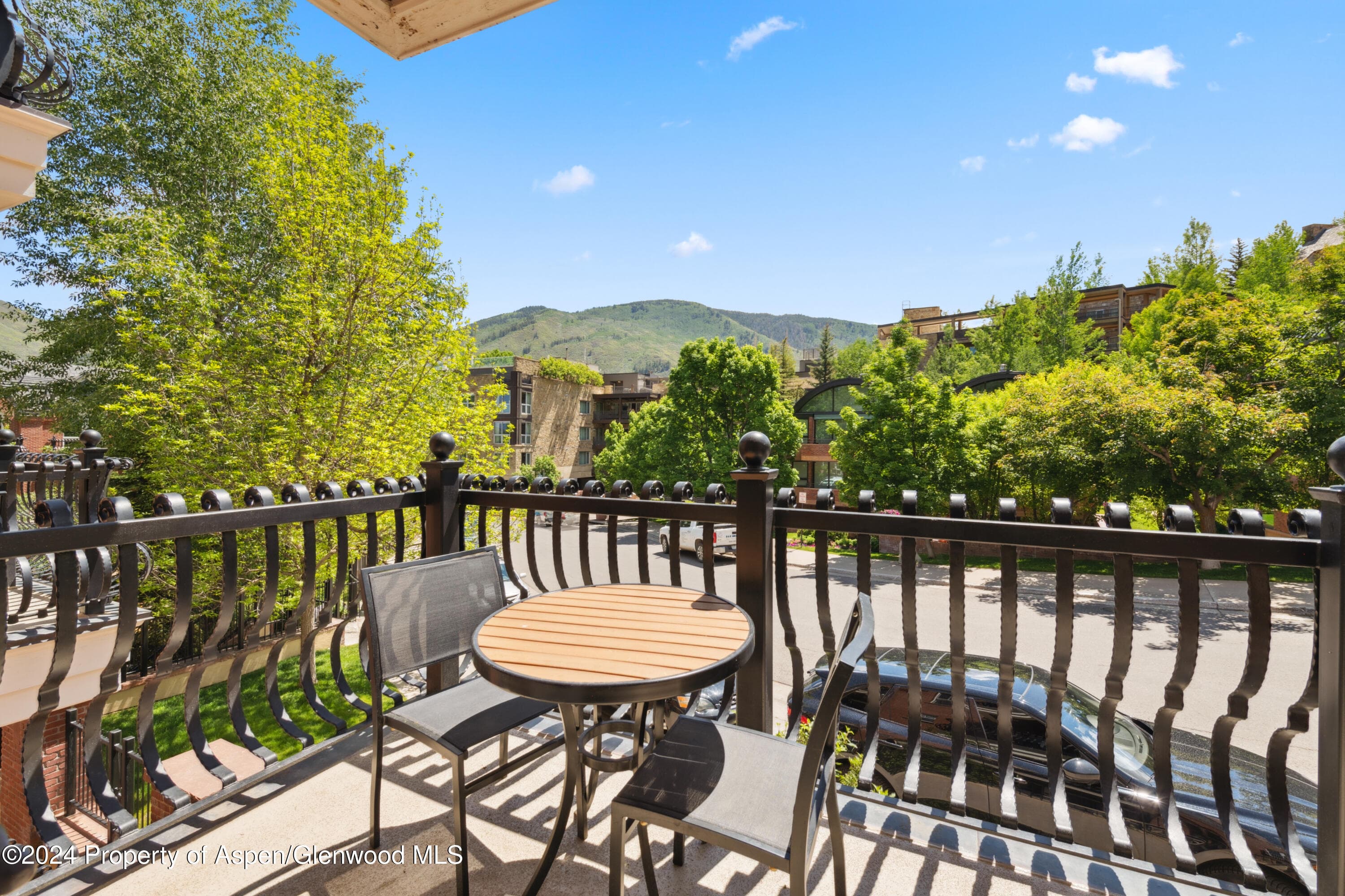 415 E Dean Street 44abc Weeks 51/52, Aspen, CO 81611 - Photo 7