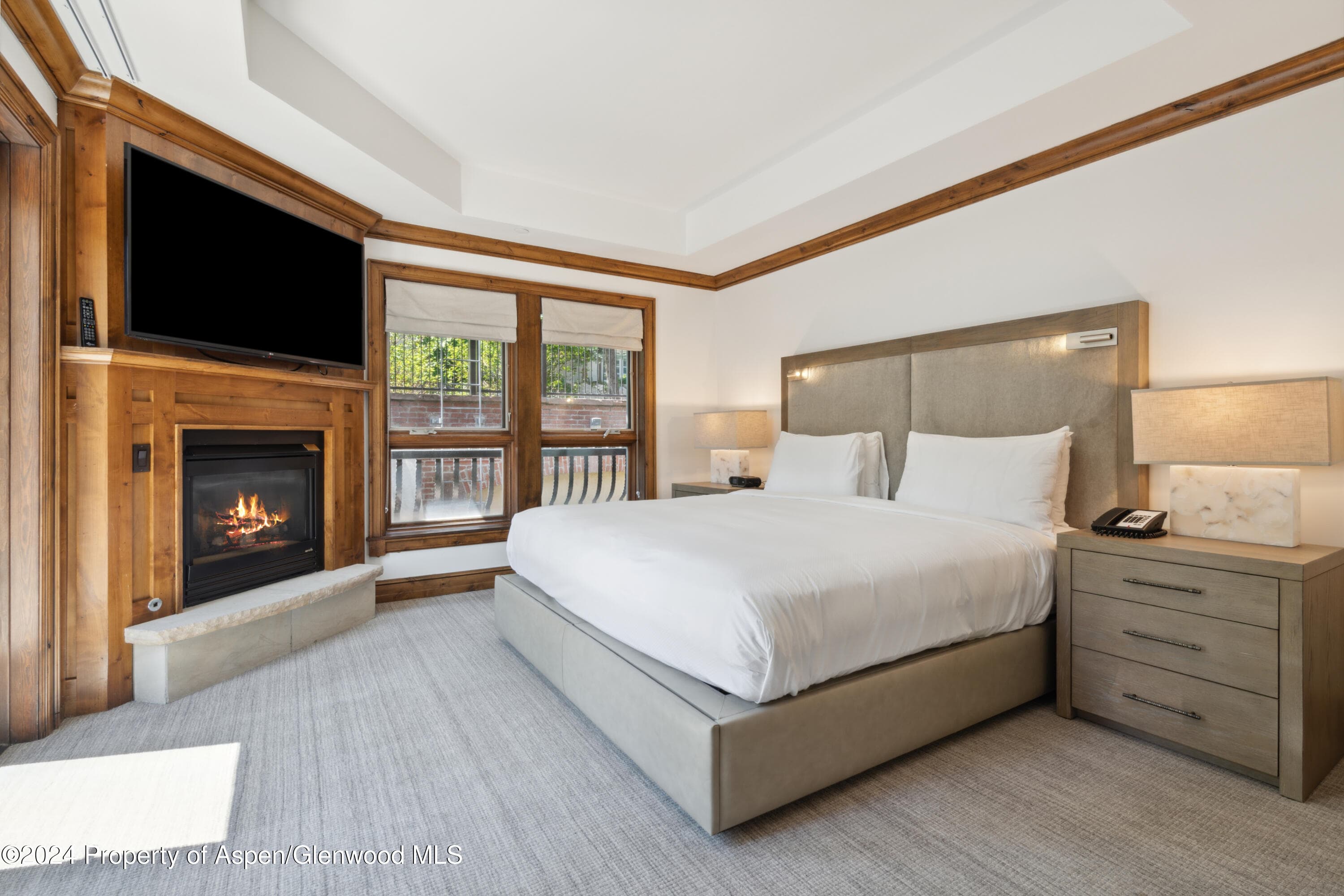 415 E Dean Street 44abc Weeks 51/52, Aspen, CO 81611 - Photo 11