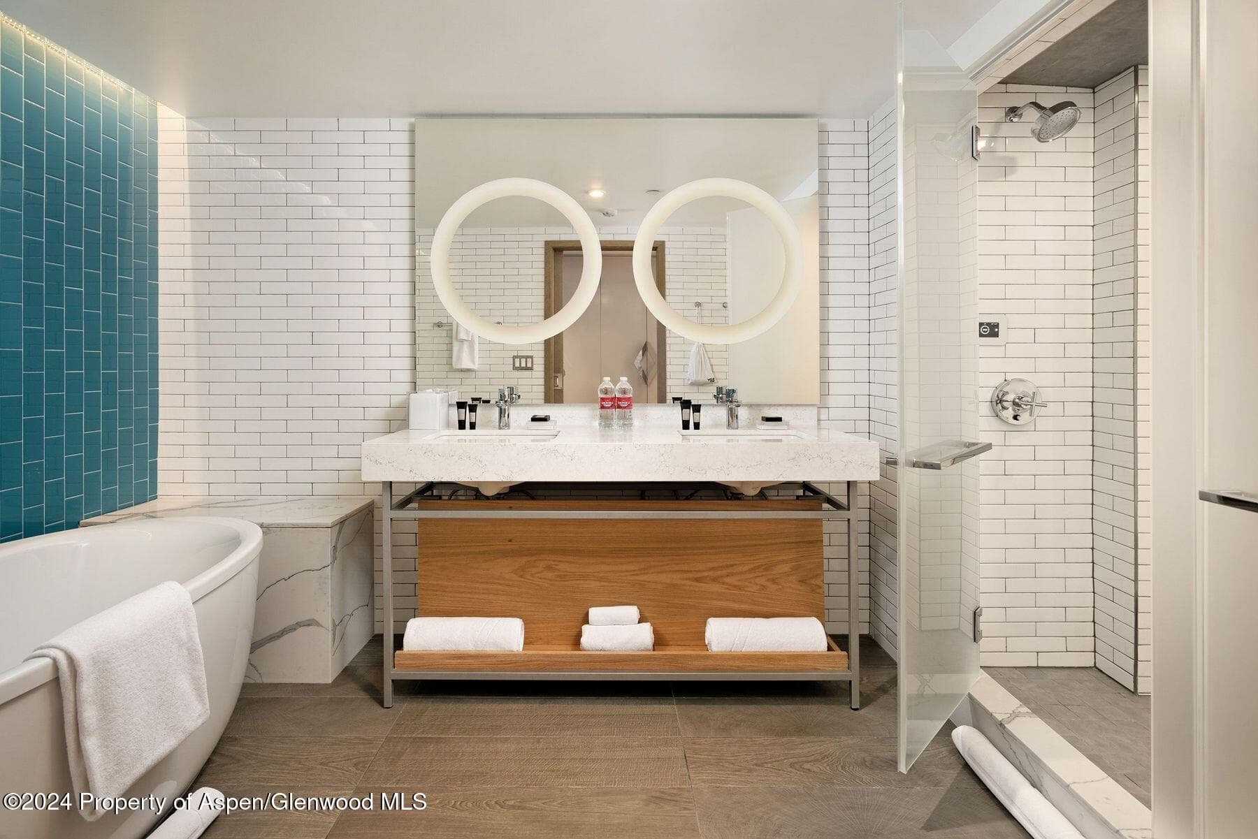 550 S Spring Street, Aspen, CO 81611 - Photo 3
