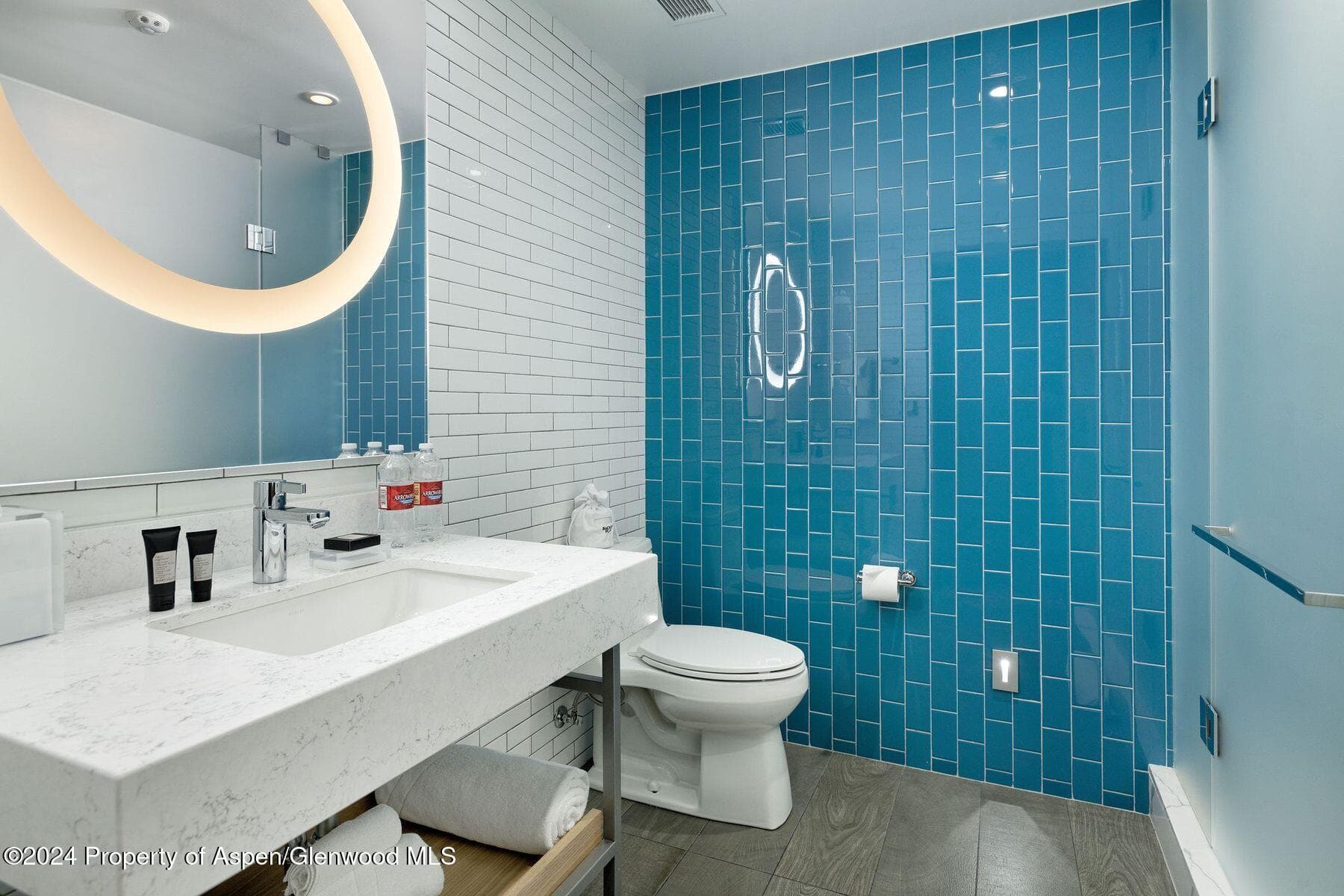 550 S Spring Street, Aspen, CO 81611 - Photo 10