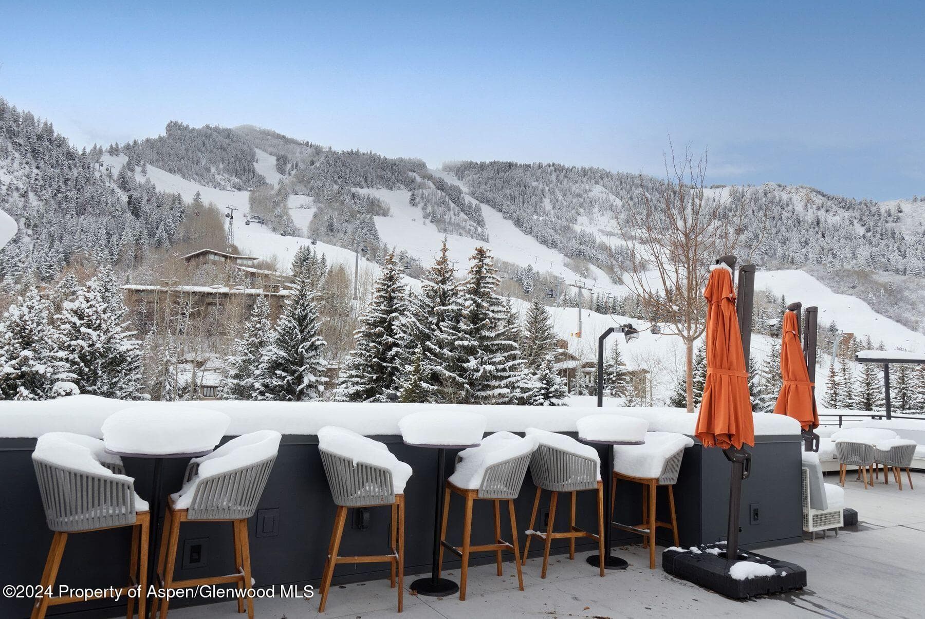 550 S Spring Street, Aspen, CO 81611 - Photo 13