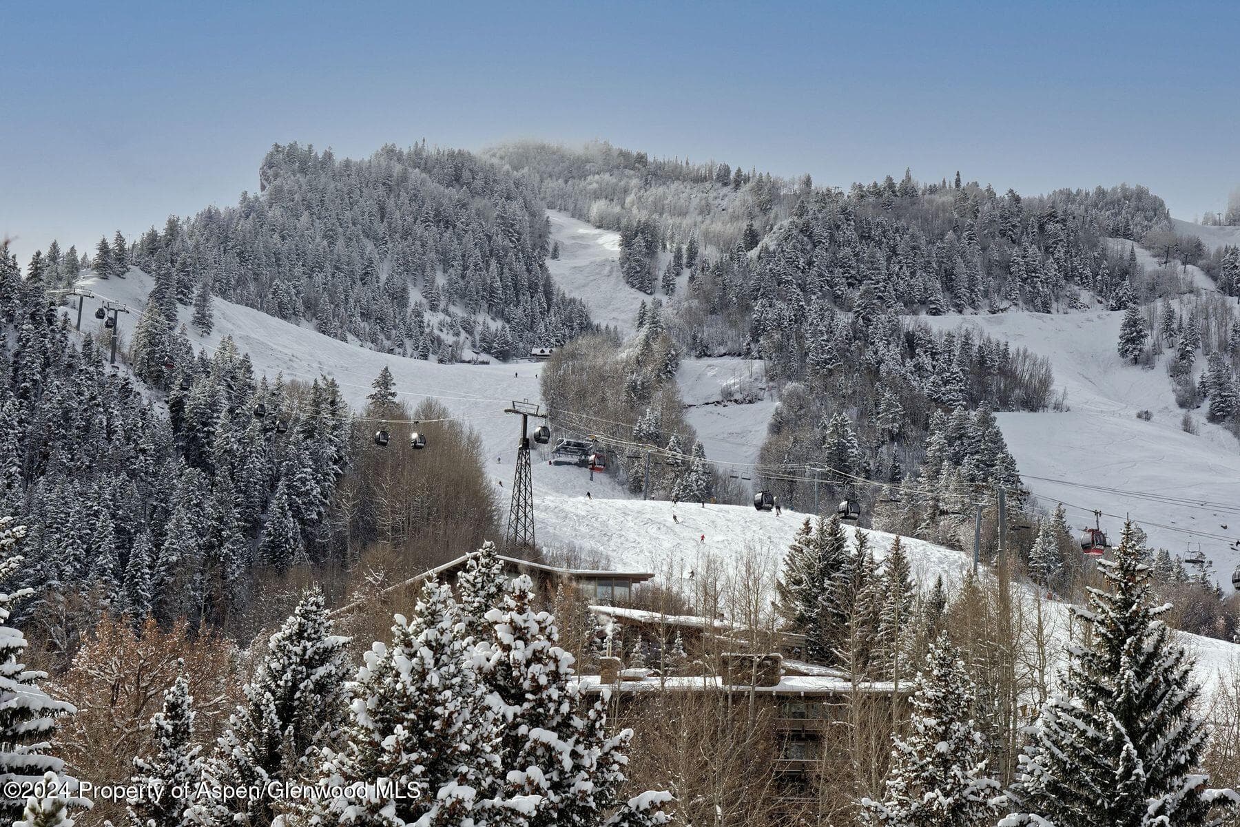 550 S Spring Street, Aspen, CO 81611 - Photo 14