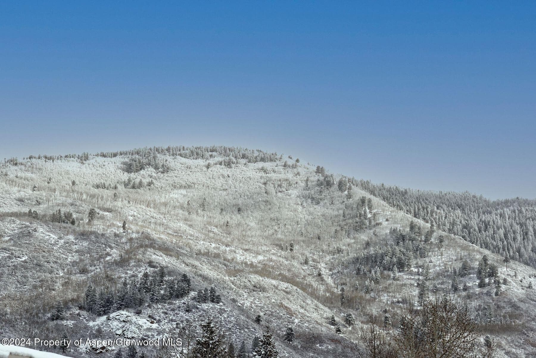 550 S Spring Street, Aspen, CO 81611 - Photo 15