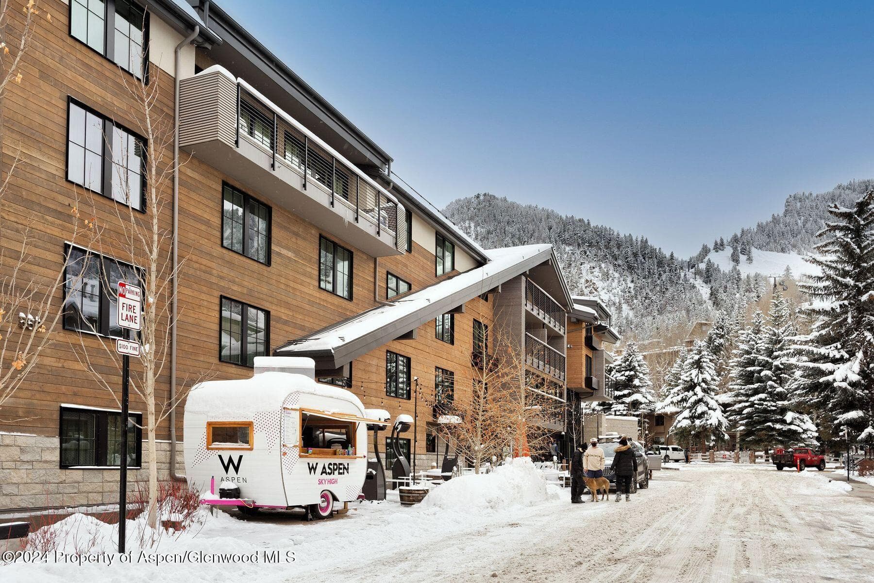 550 S Spring Street, Aspen, CO 81611 - Photo 16