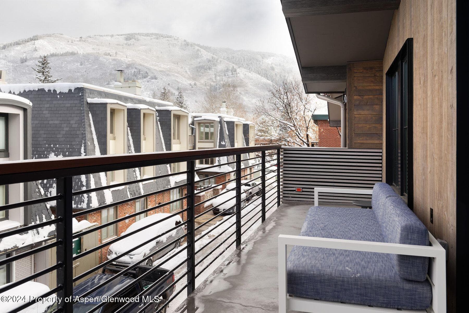 550 S Spring Street, Aspen, CO 81611 - Photo 20