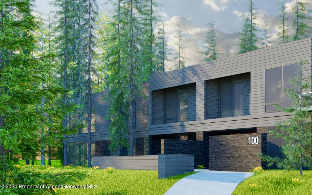 103 Willow Road 206, Basalt, CO 81621 - Photo 10